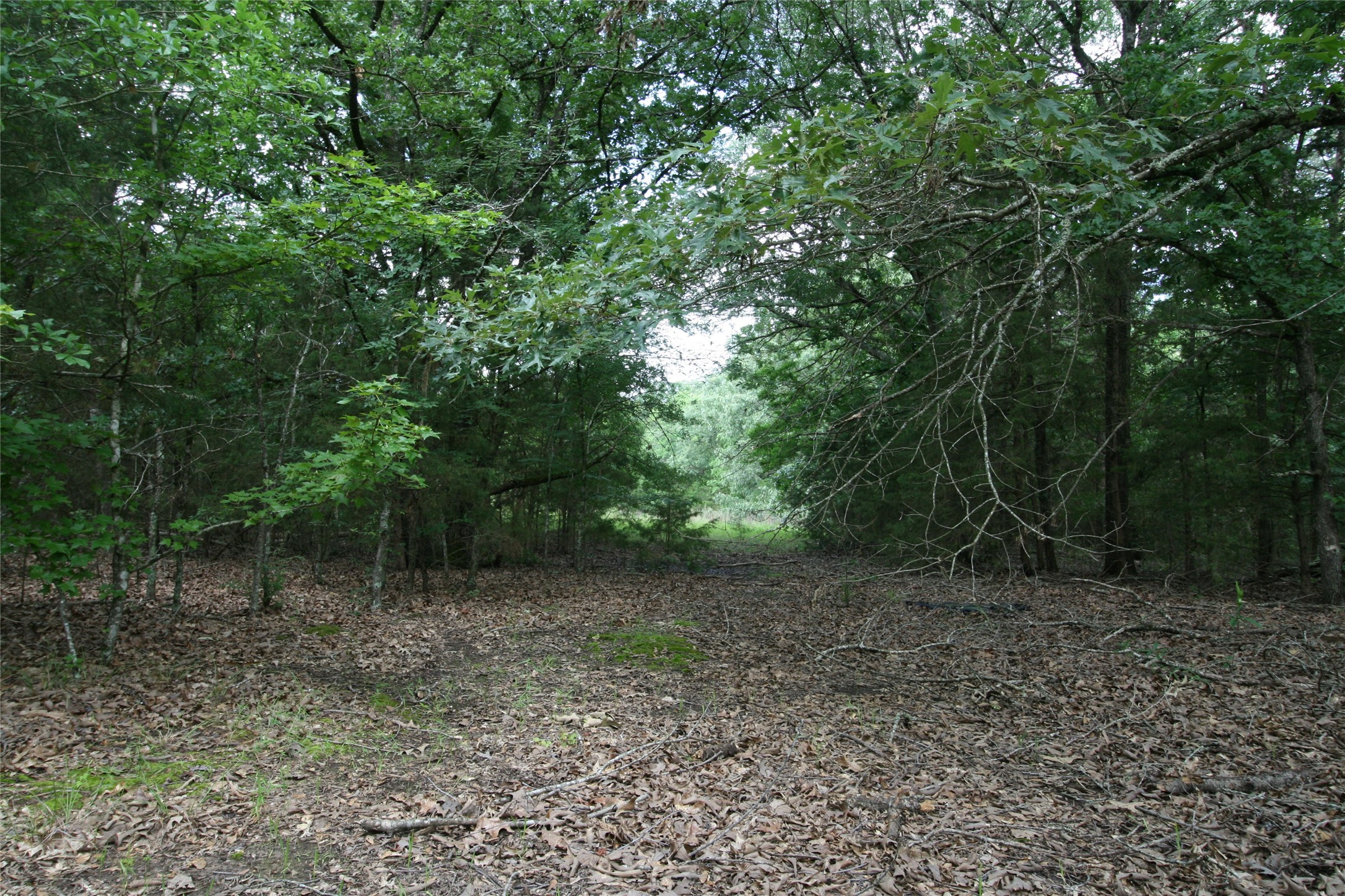 Tract 3 Tbd Vzcr 1507 Grand Saline TX 75140