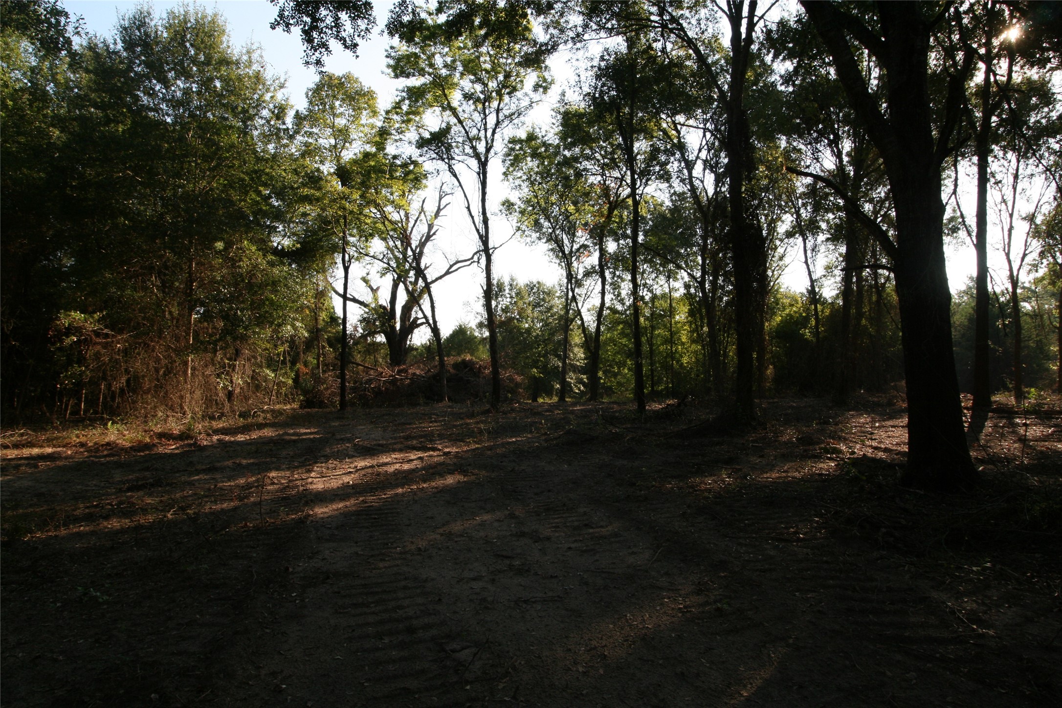 Tract 3 Tbd Vzcr 1507 Grand Saline TX 75140