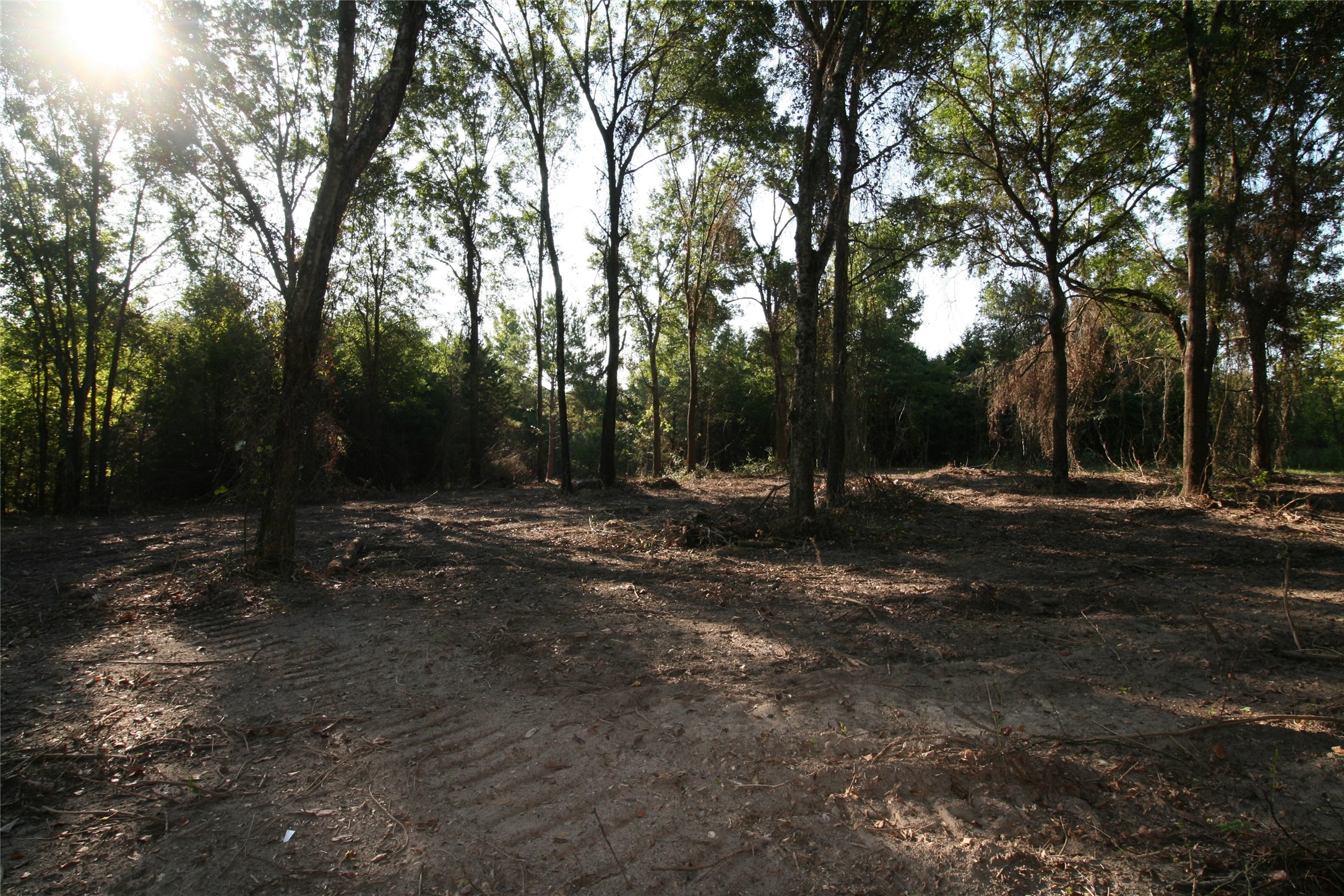 Tract 3 Tbd Vzcr 1507 Grand Saline TX 75140