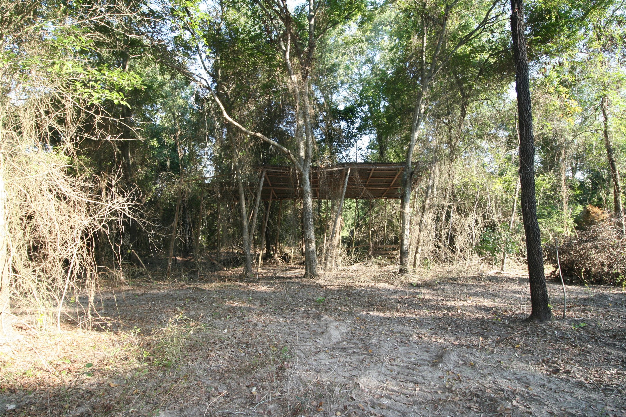 Tract 3 Tbd Vzcr 1507 Grand Saline TX 75140