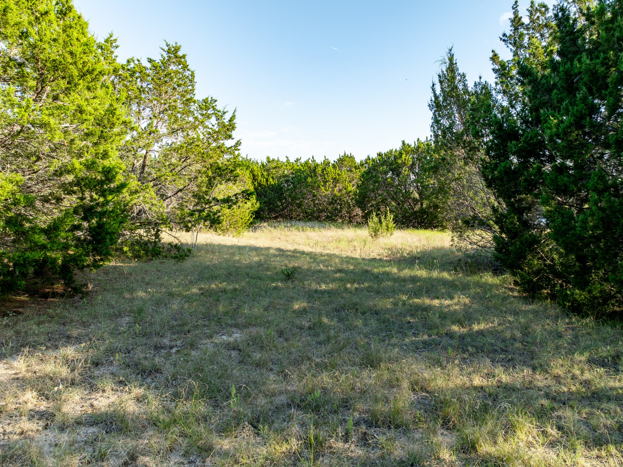 Tbd Tx-6 Clifton TX 76634