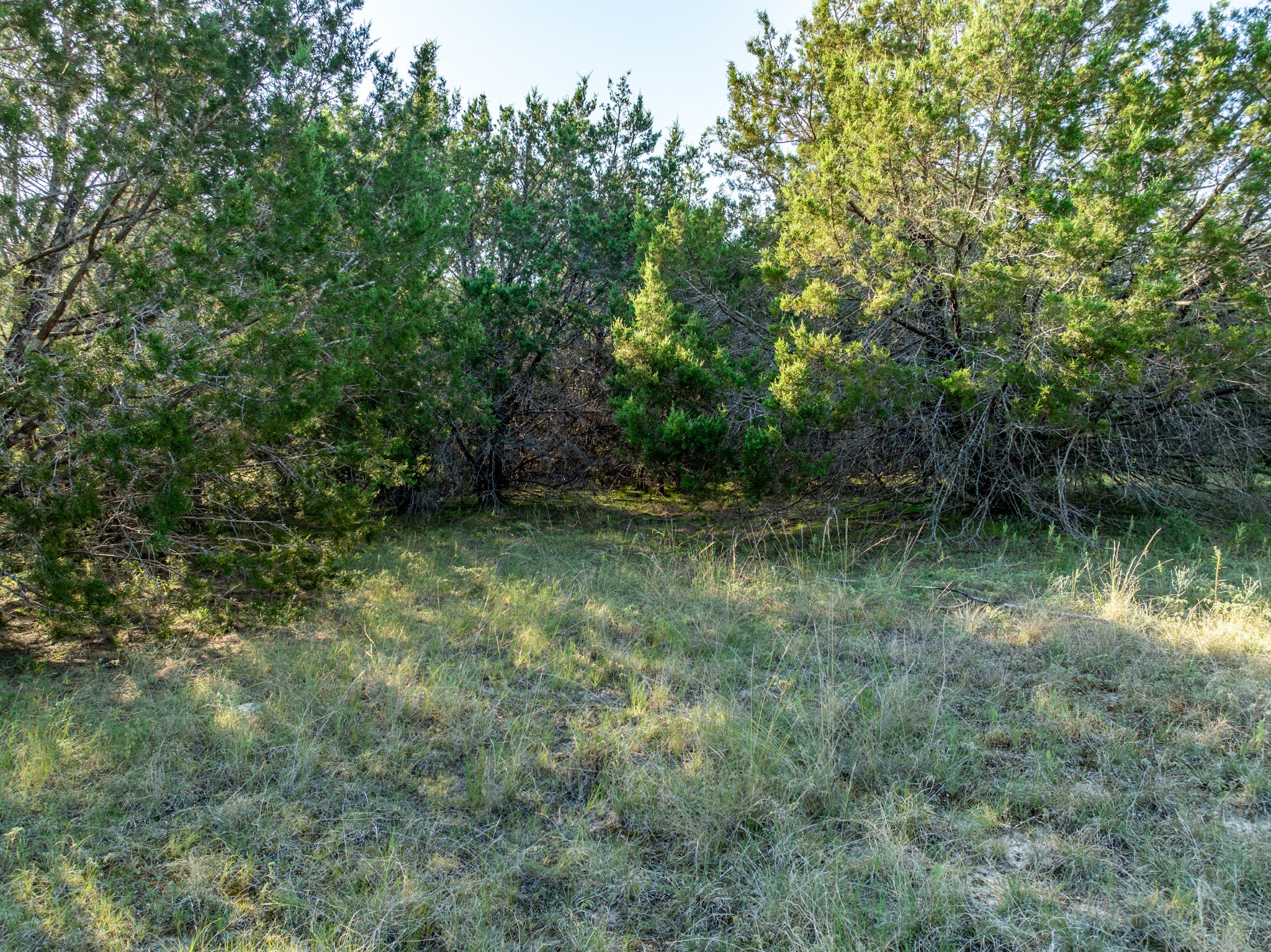 Tbd Tx-6 Clifton TX 76634