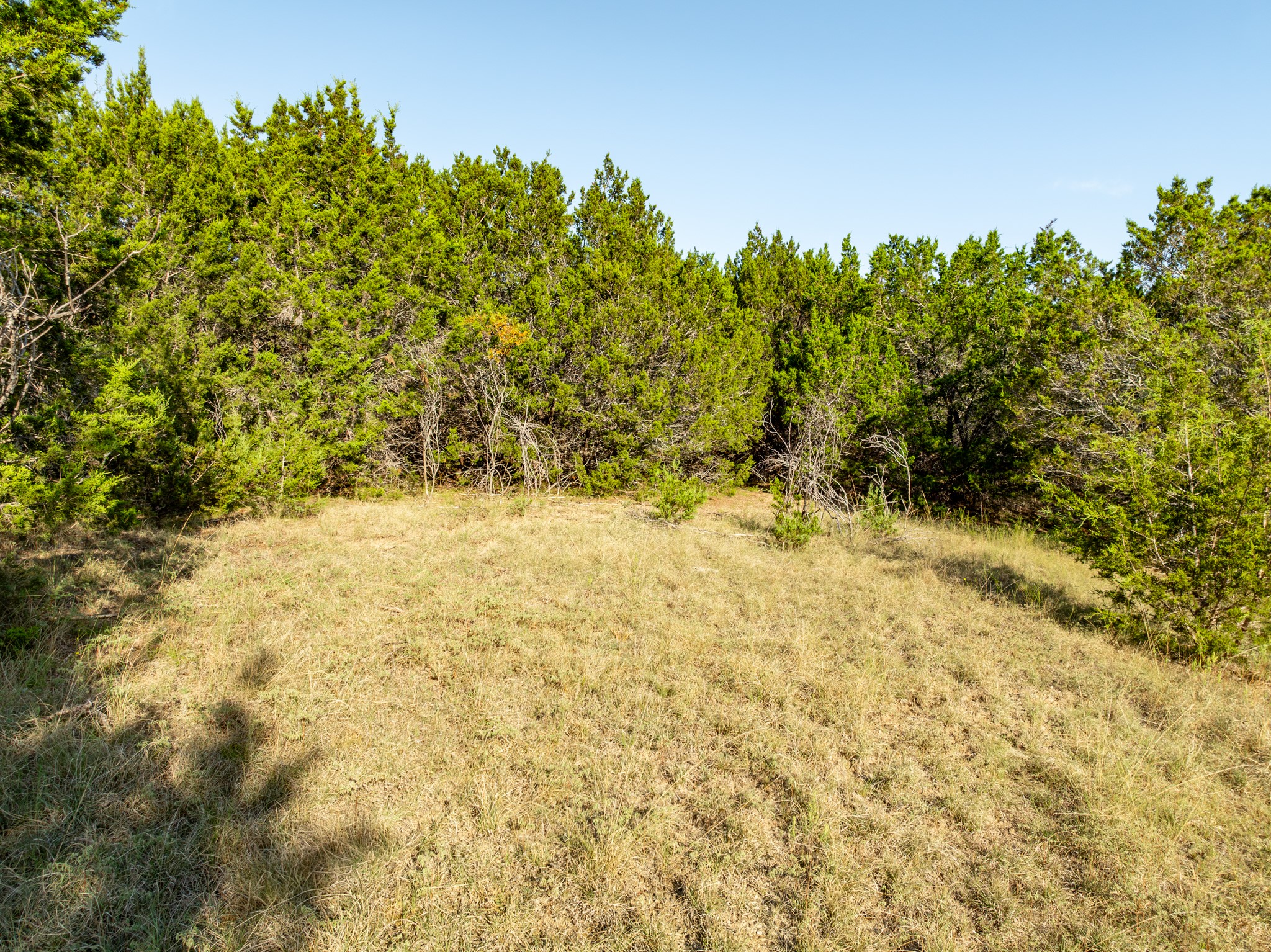 Tbd Tx-6 Clifton TX 76634
