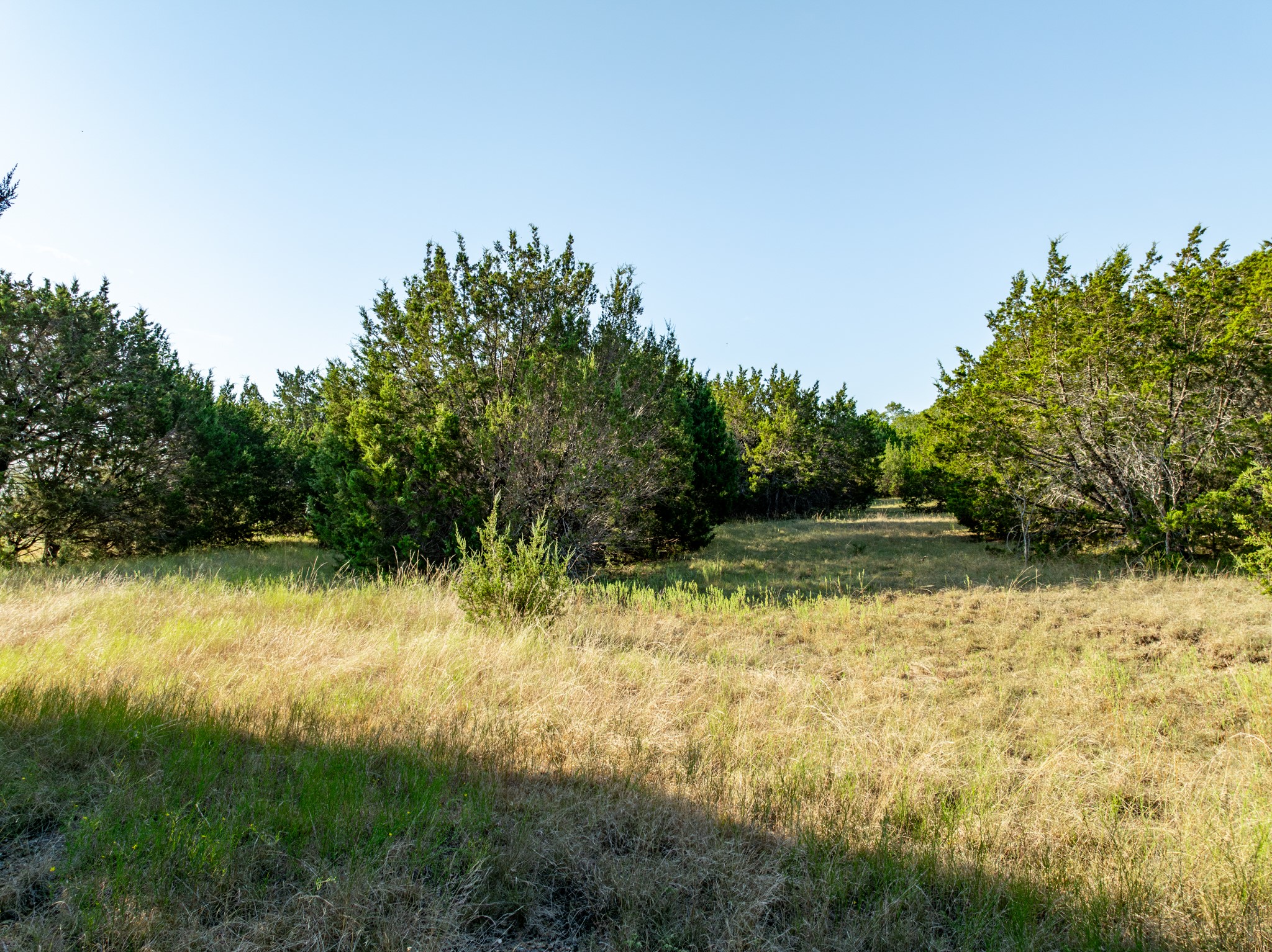 Tbd Tx-6 Clifton TX 76634