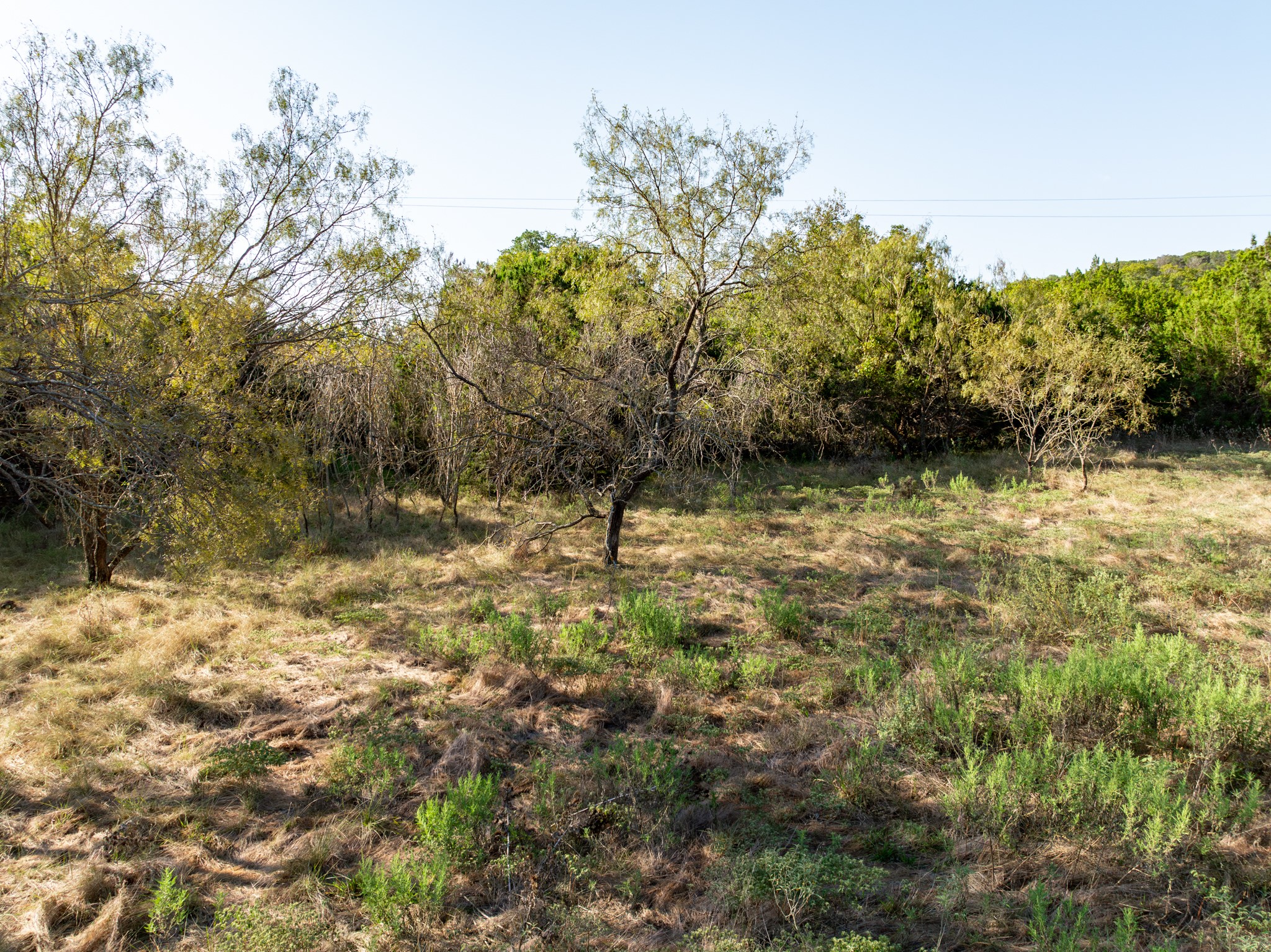 Tbd Tx-6 Clifton TX 76634