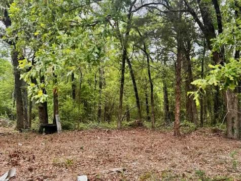 132 Prewitt Street Mabank TX 75156