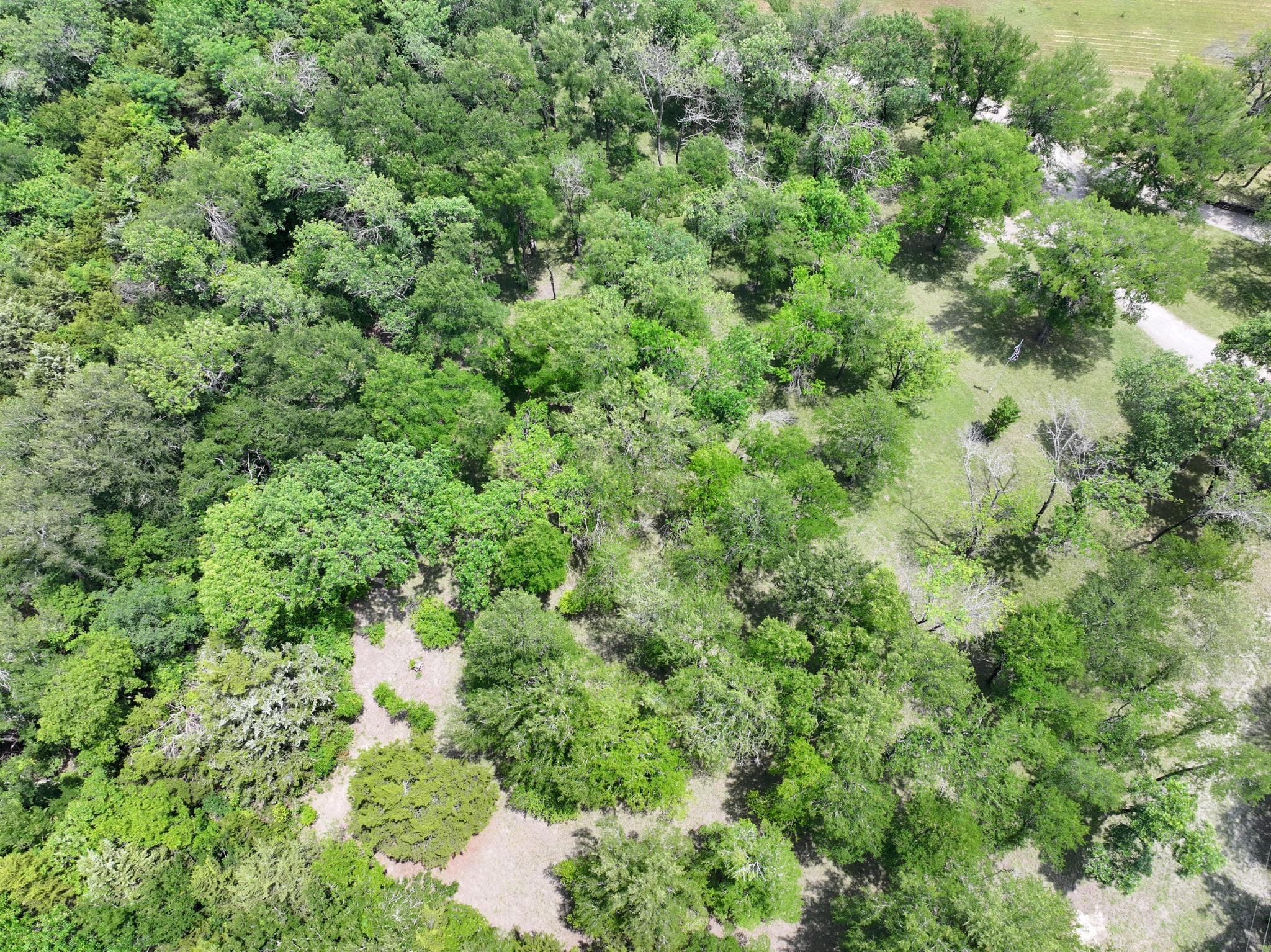 677 Farm To Market Road 3356 Van Alstyne TX 75495
