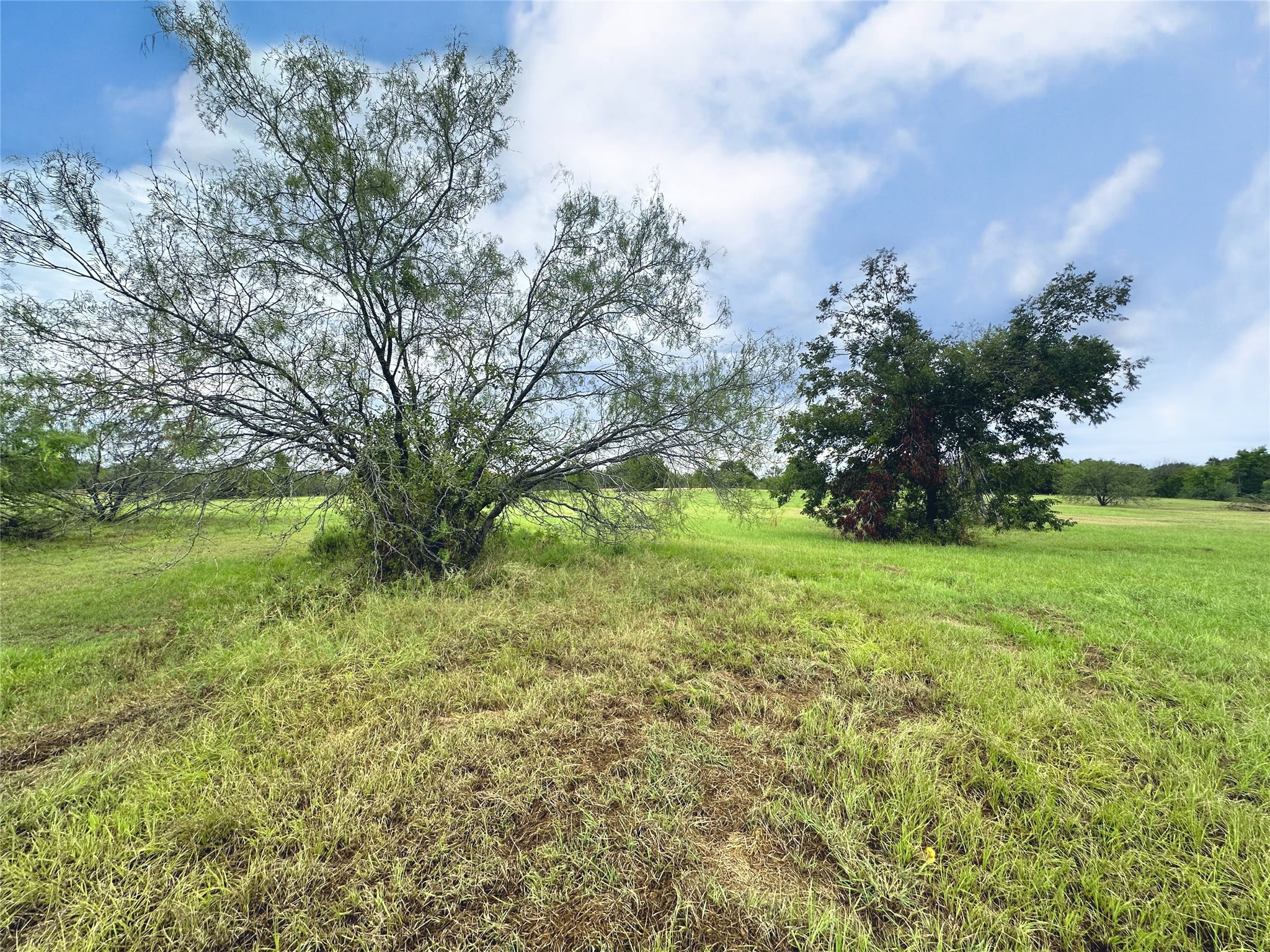 Lot 131 Lake Vista Drive Streetman TX 75859
