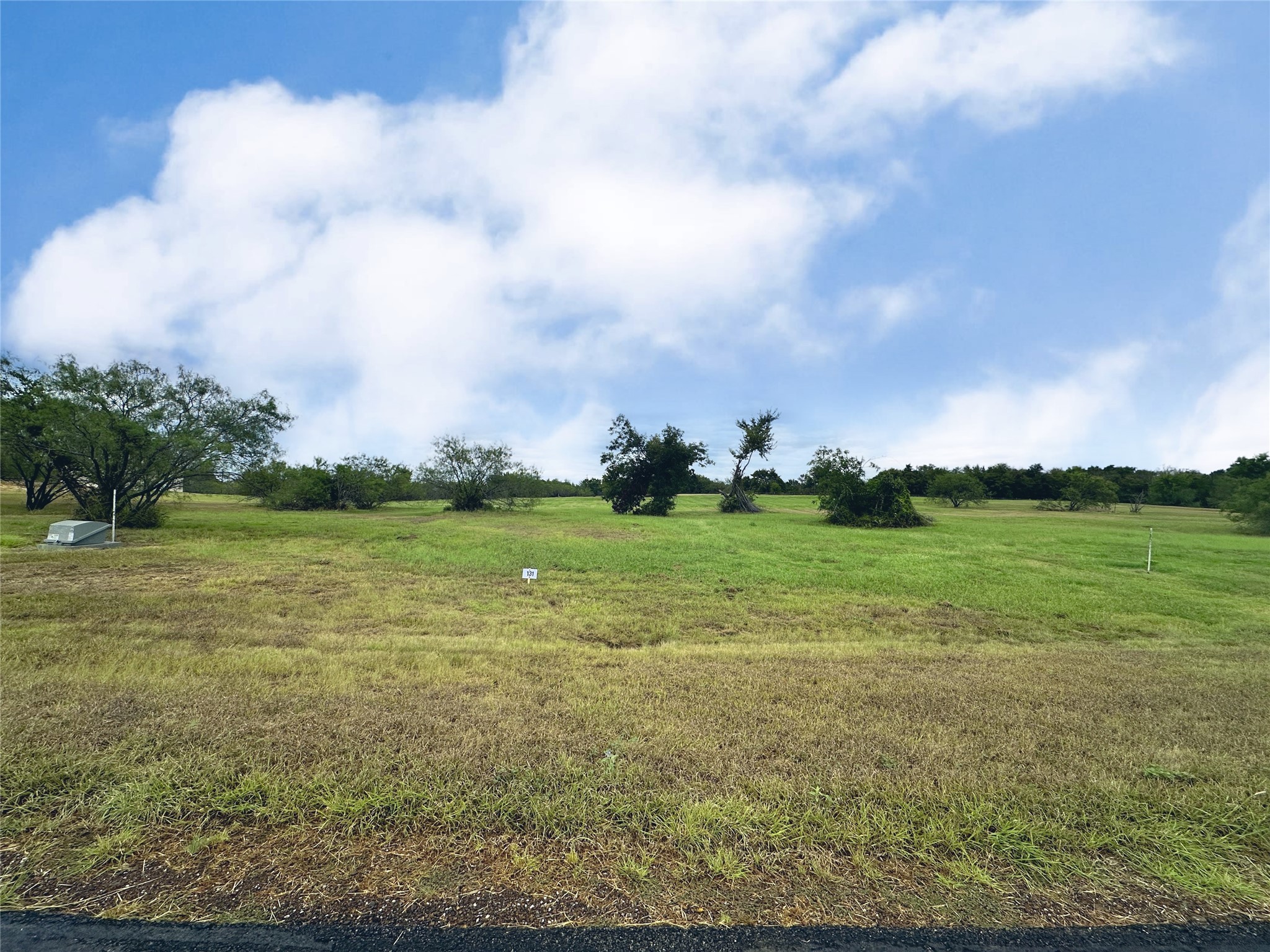 Lot 131 Lake Vista Drive Streetman TX 75859