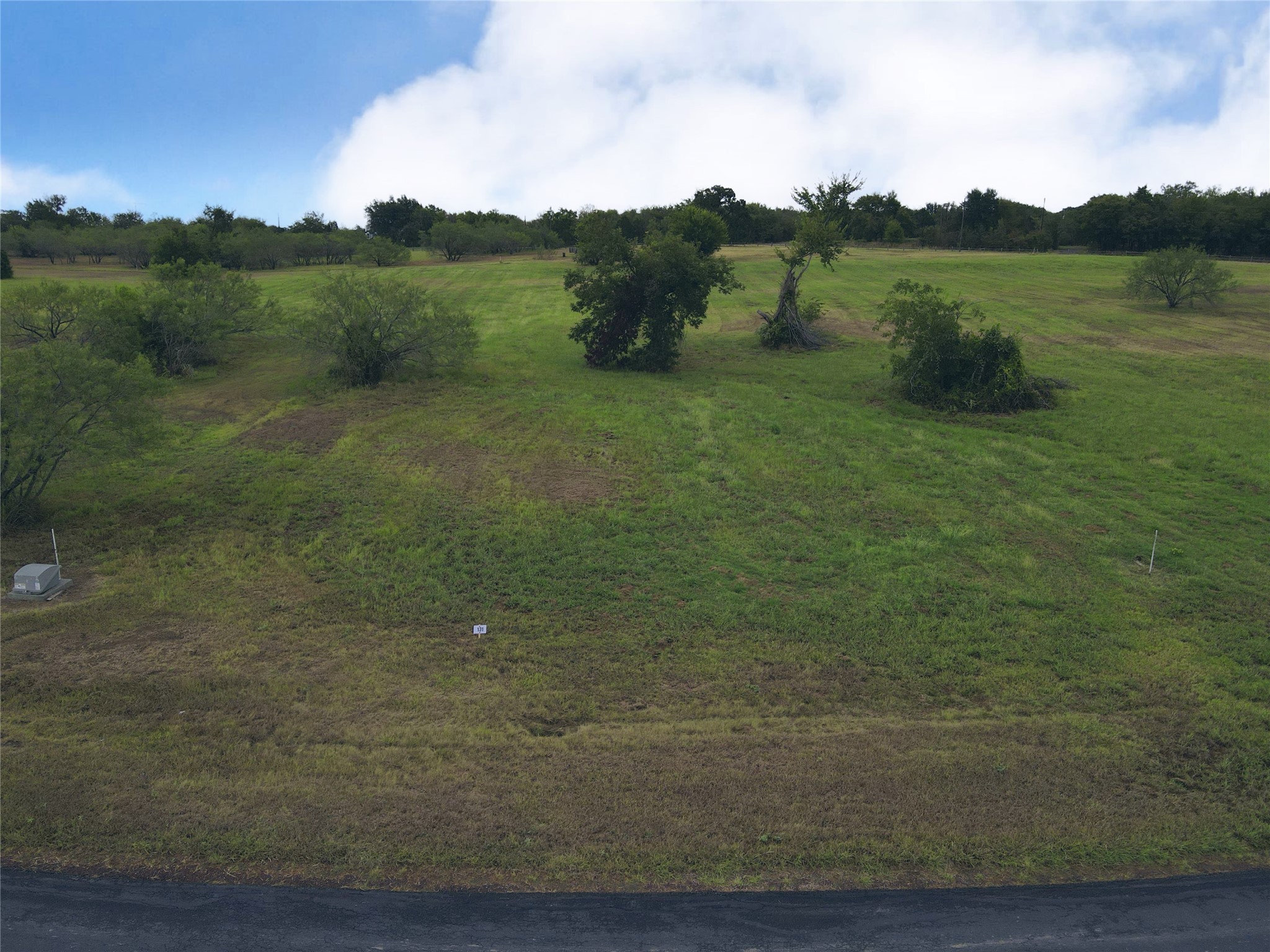 Lot 131 Lake Vista Drive Streetman TX 75859