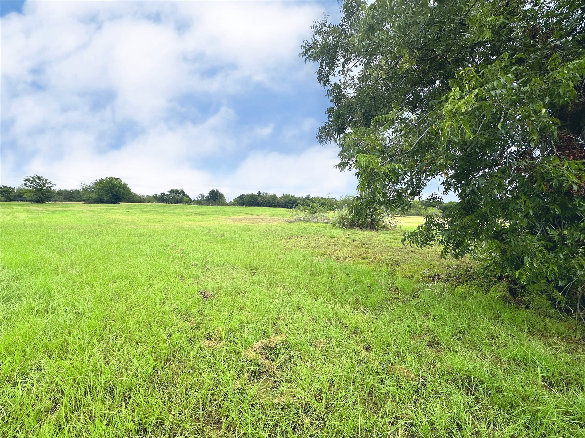 Lot 131 Lake Vista Drive Streetman TX 75859