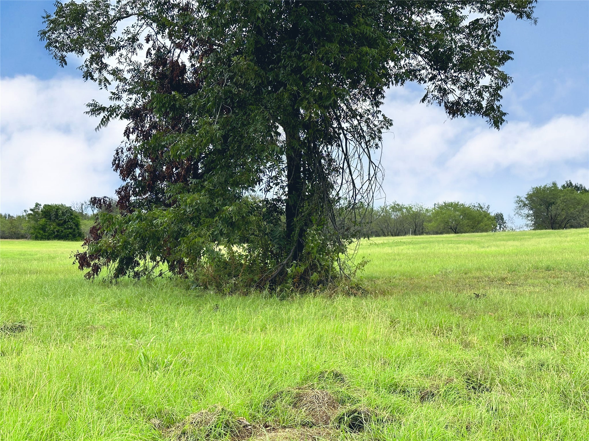 Lot 131 Lake Vista Drive Streetman TX 75859