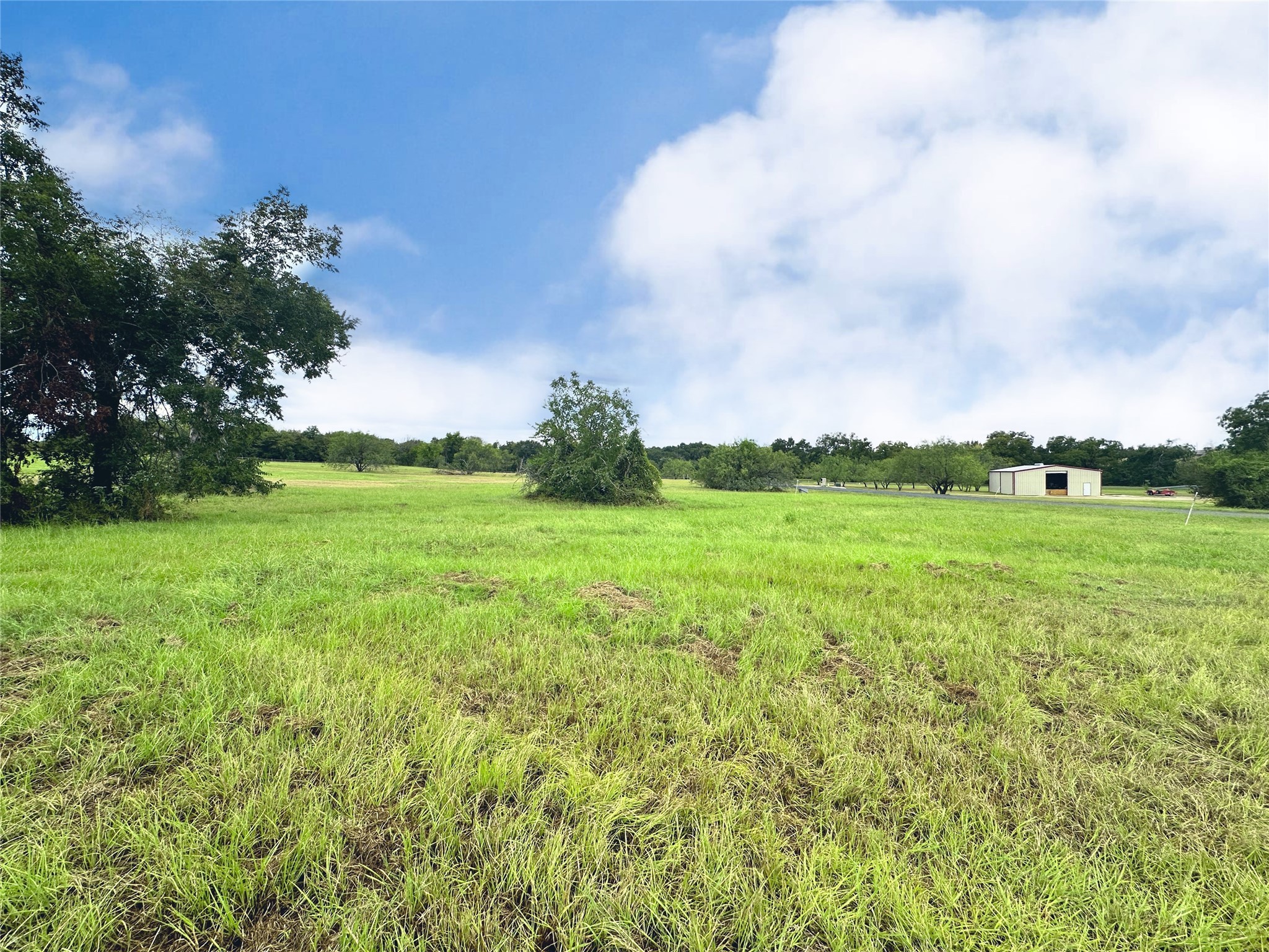 Lot 131 Lake Vista Drive Streetman TX 75859