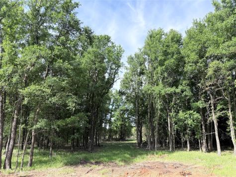 Lot 14 Lakewood Drive Whitney TX 76692