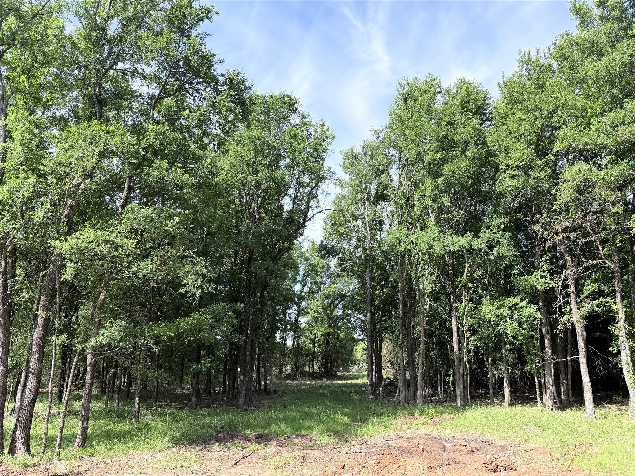 Lot 14 Lakewood Drive Whitney TX 76692
