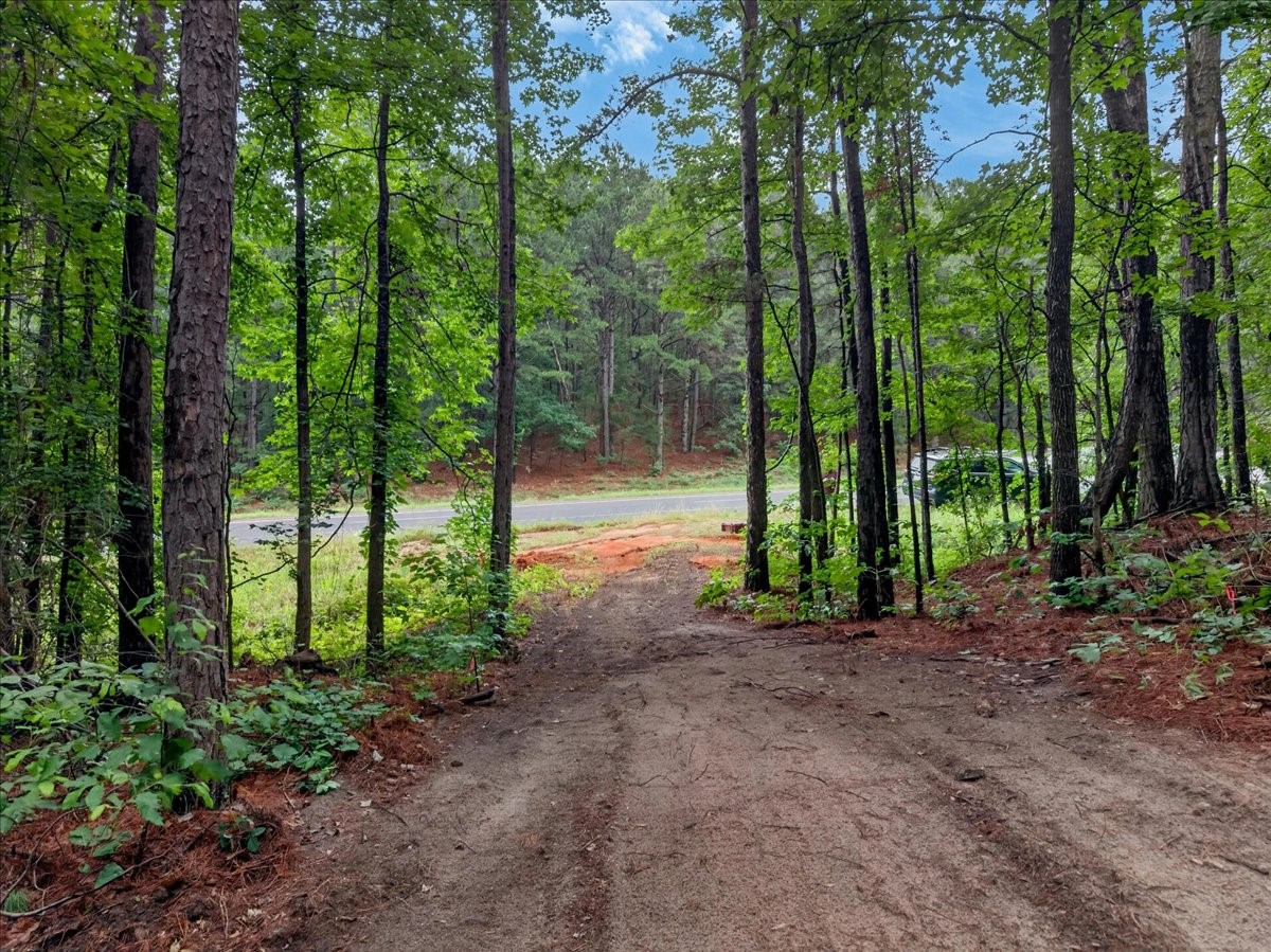 Tract 53.1 Highway 31 Tyler TX 75705