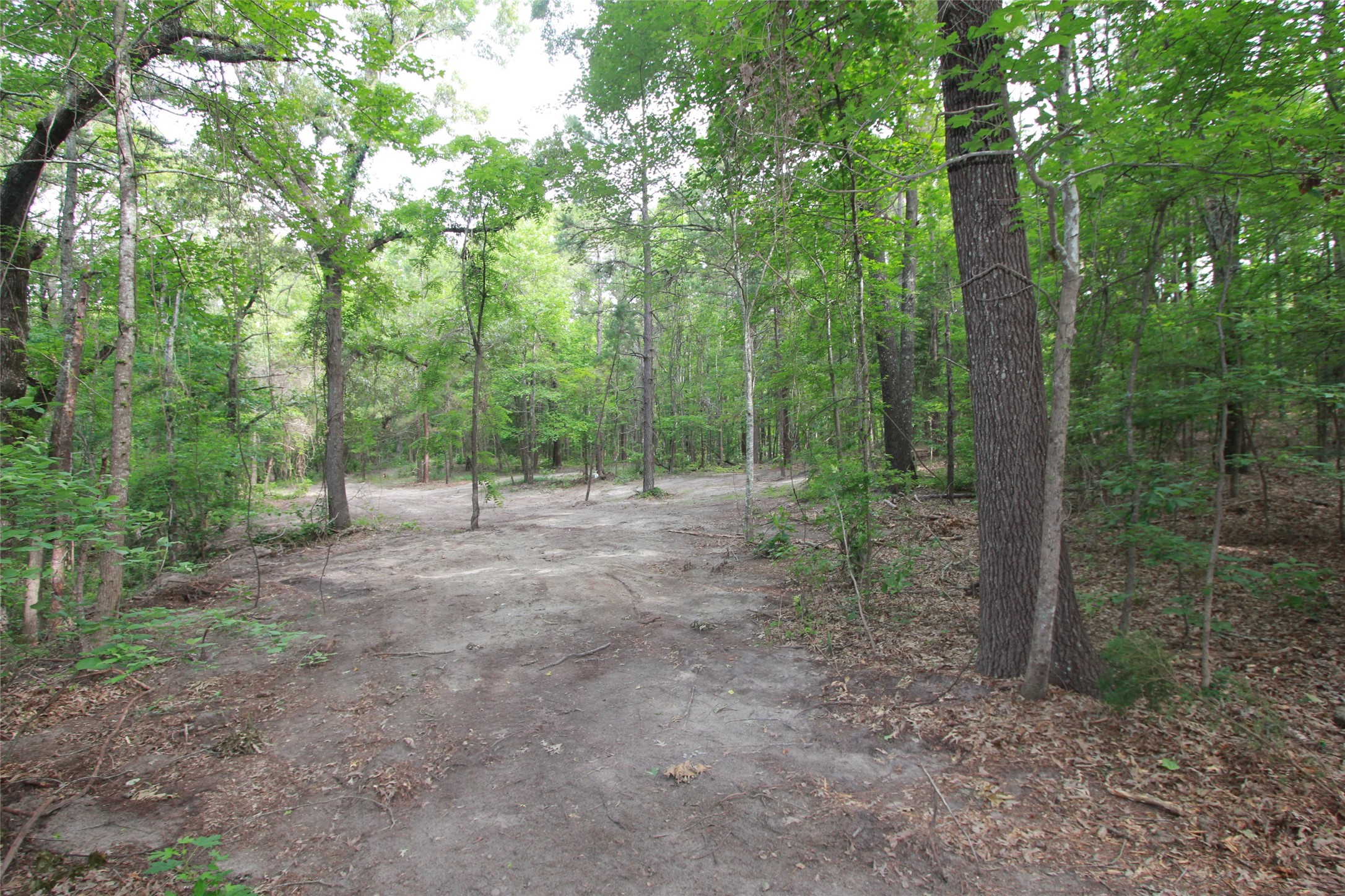 Tract 53.1 Highway 31 Tyler TX 75705