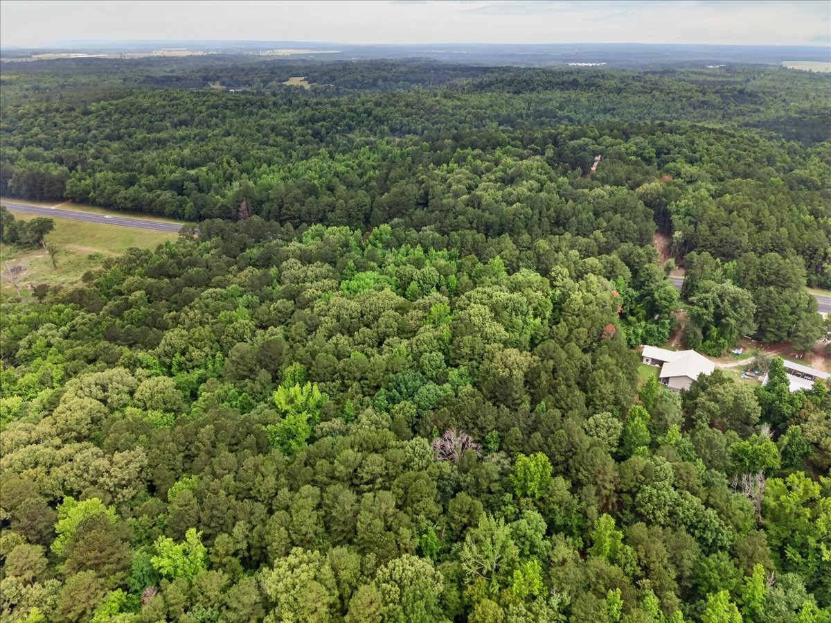 Tract 53.1 Highway 31 Tyler TX 75705