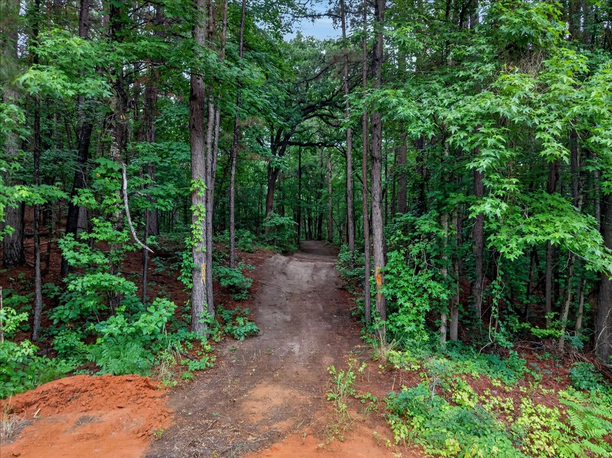 Tract 53.1 Highway 31 Tyler TX 75705