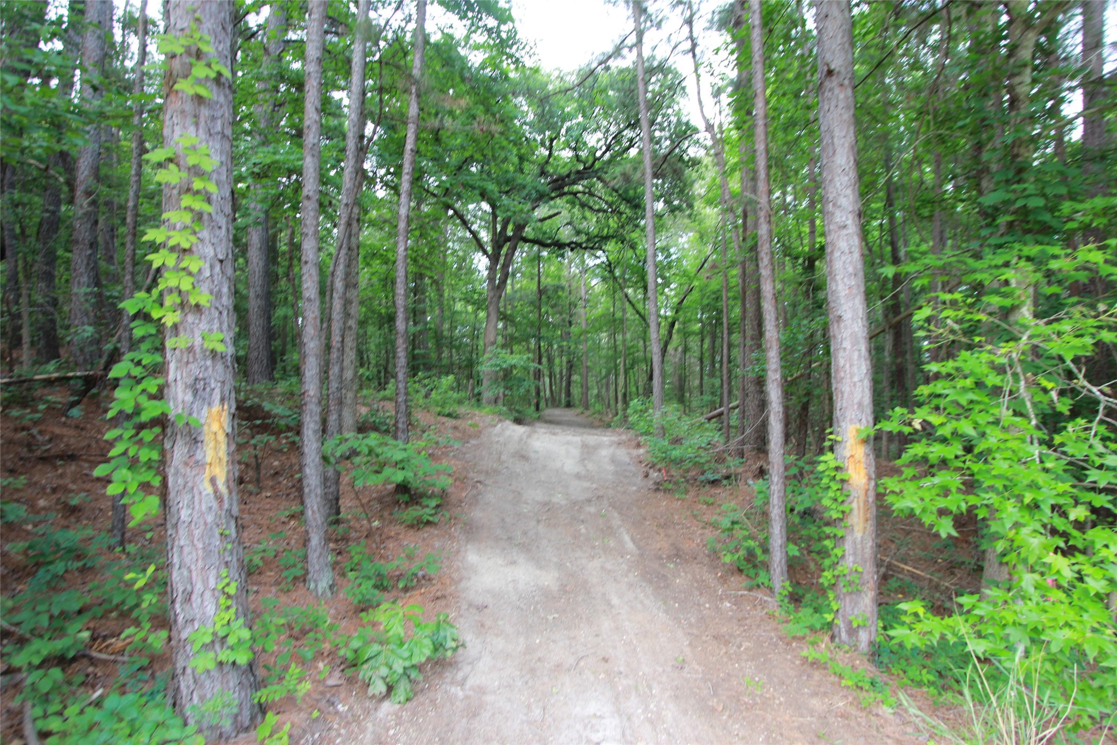 Tract 53.1 Highway 31 Tyler TX 75705