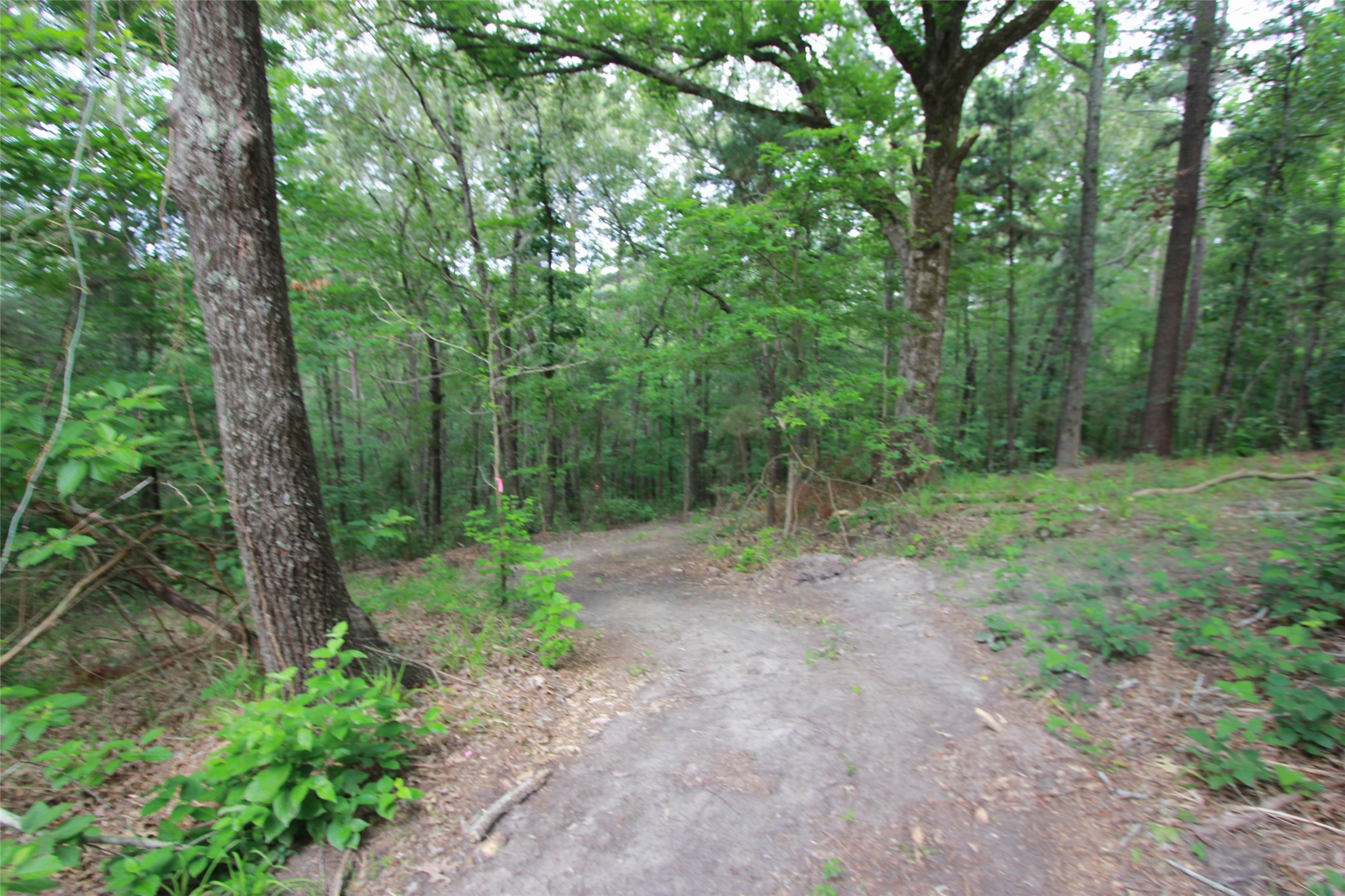 Tract 53.1 Highway 31 Tyler TX 75705