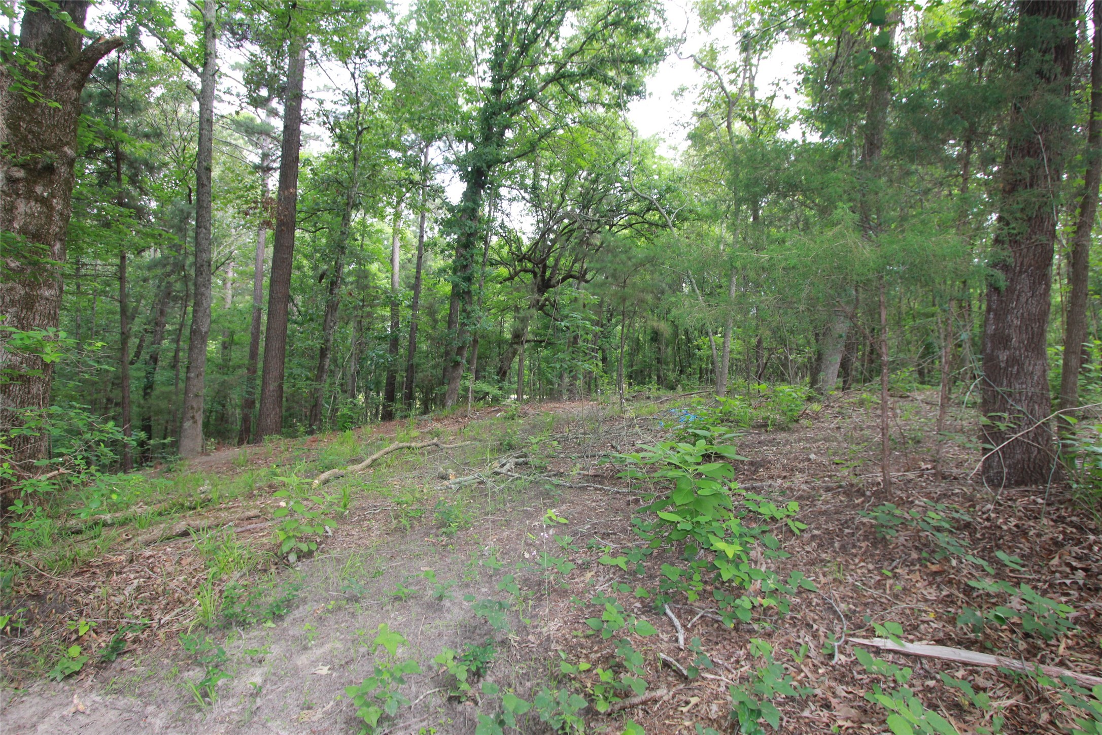 Tract 53.1 Highway 31 Tyler TX 75705