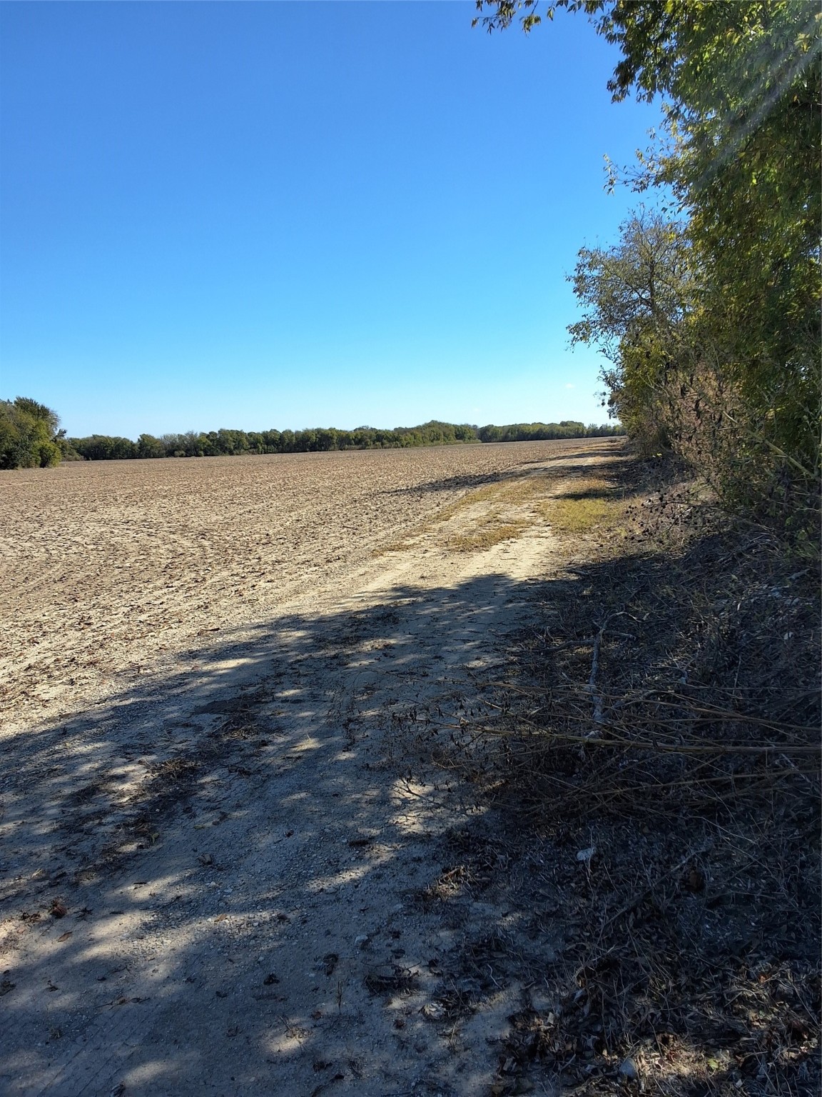 T B D Hcr 3124 (Main St) Bynum TX 76631