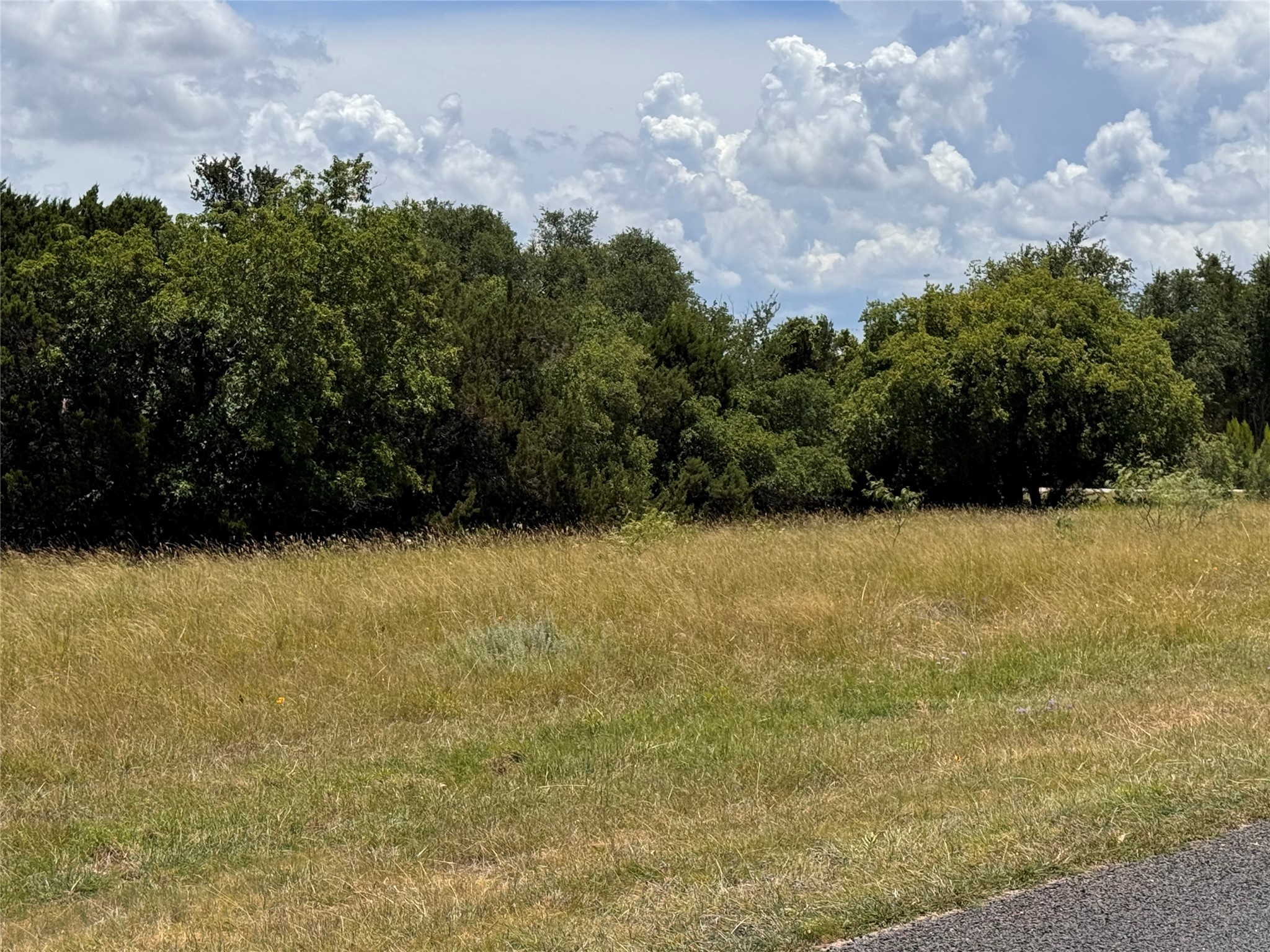 19066 White Bluff Drive Whitney TX 76692