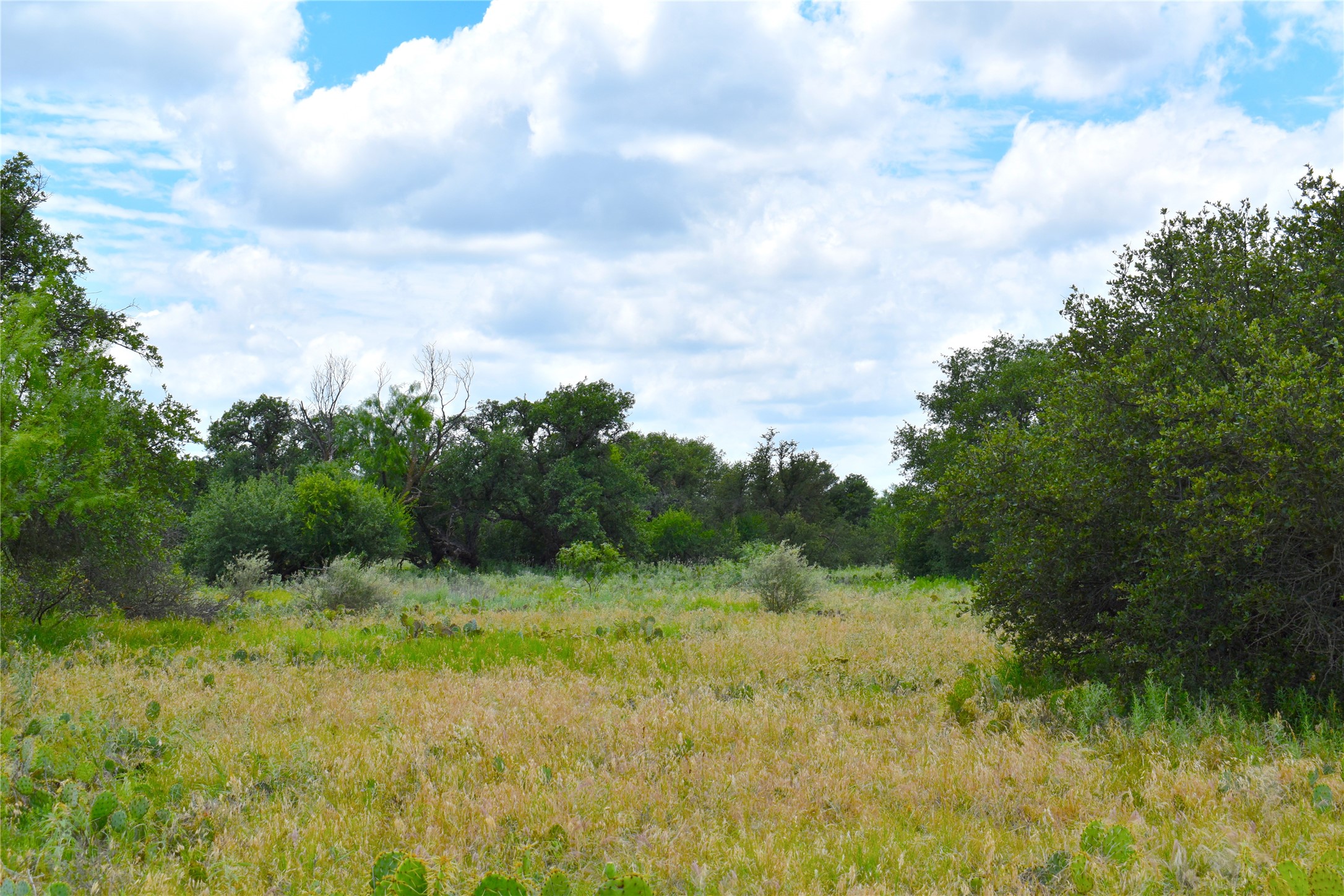 Tbd E Fm 576 Breckenridge TX 76434