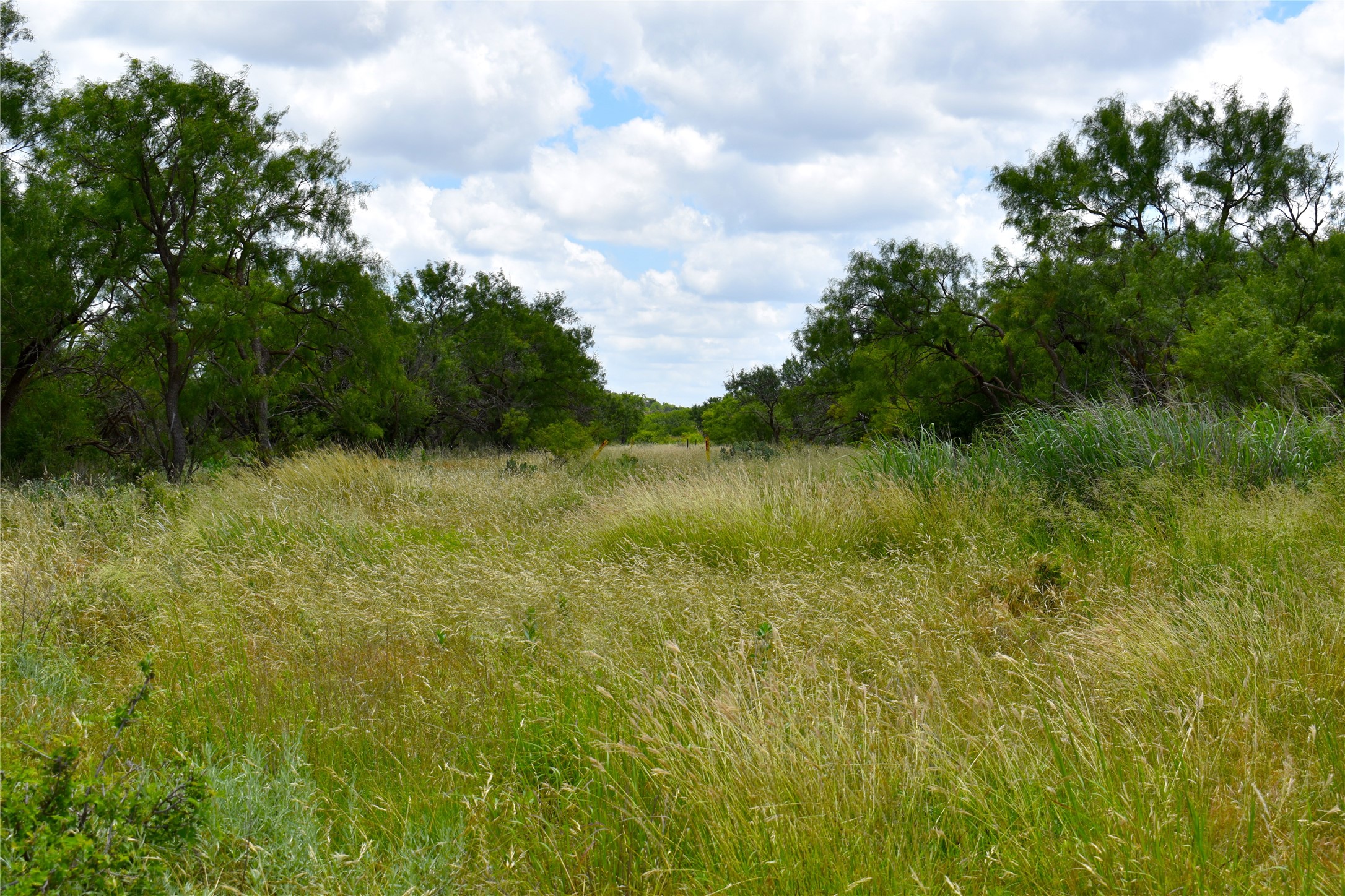 Tbd E Fm 576 Breckenridge TX 76434
