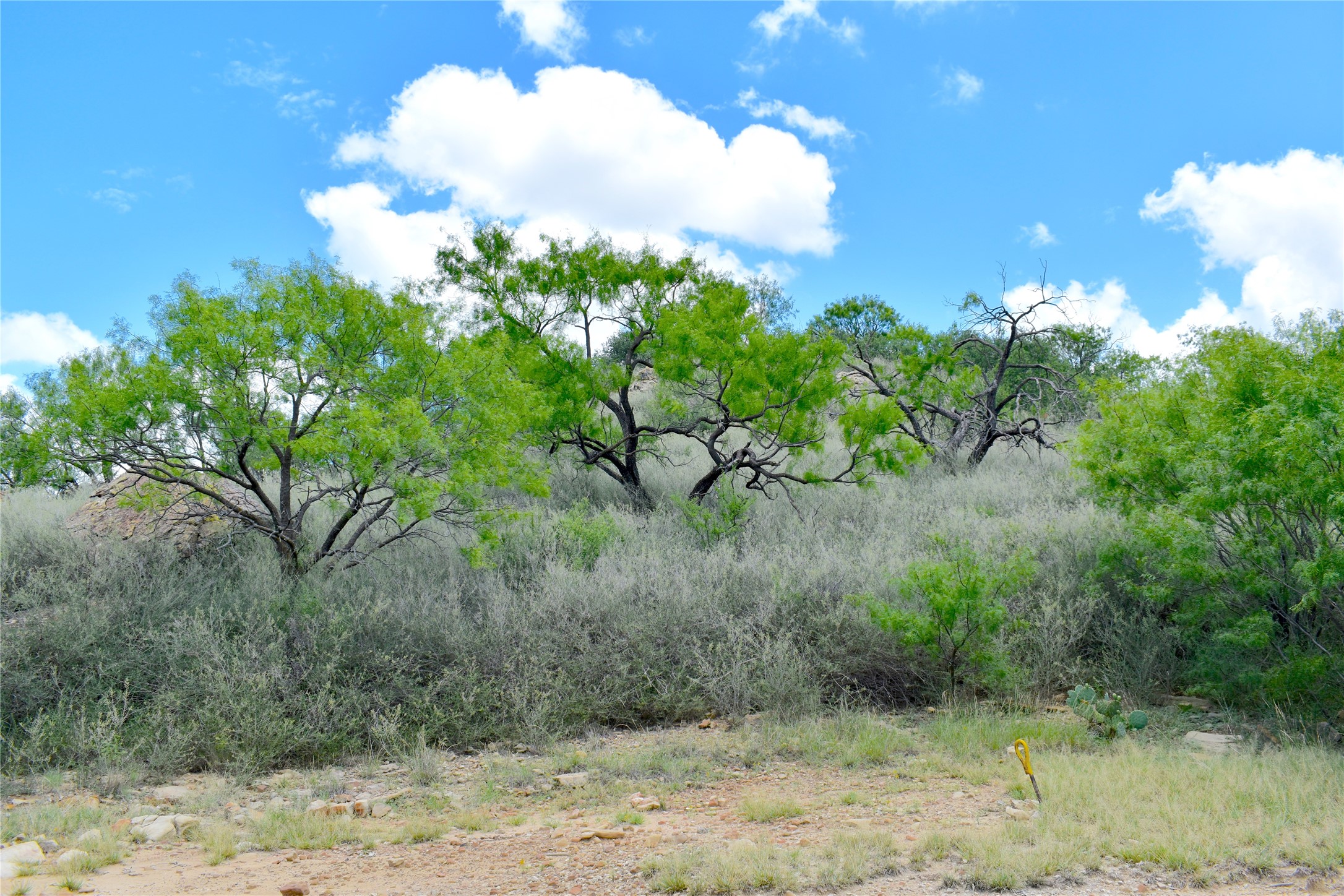 Tbd E Fm 576 Breckenridge TX 76434