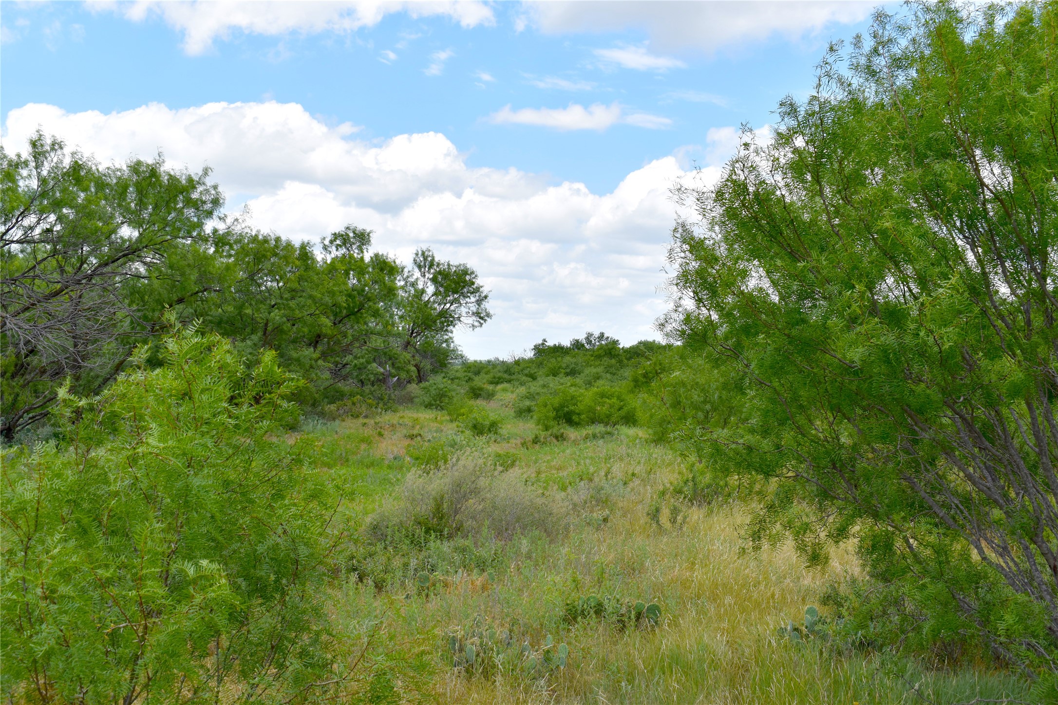 Tbd E Fm 576 Breckenridge TX 76434