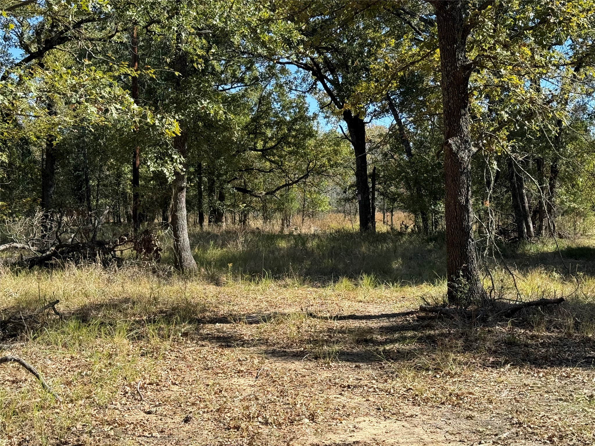 15801 Maple Lane Malakoff TX 75148