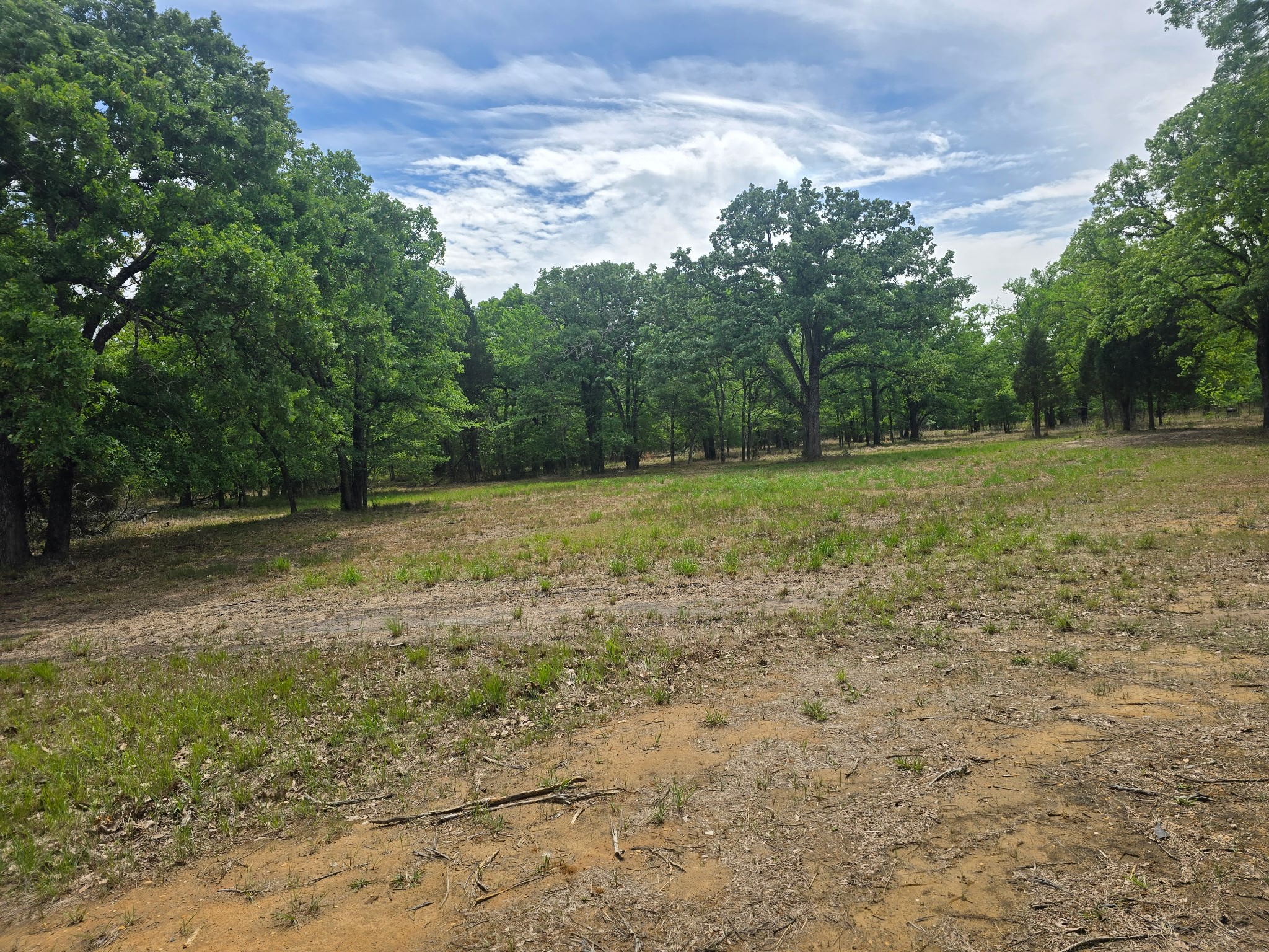 15801 Maple Lane Malakoff TX 75148