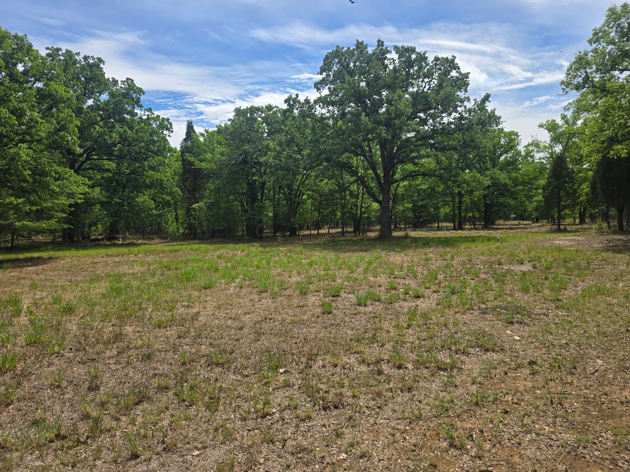15801 Maple Lane Malakoff TX 75148