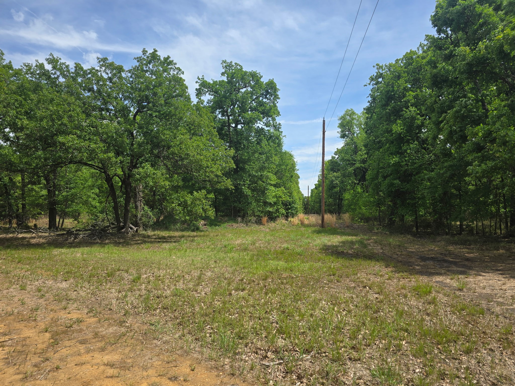 15801 Maple Lane Malakoff TX 75148