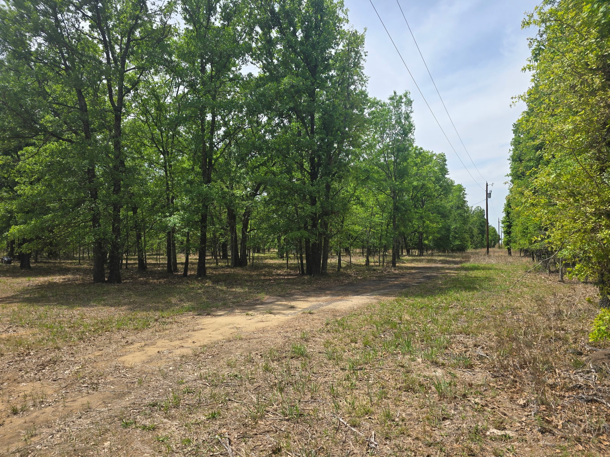 15801 Maple Lane Malakoff TX 75148