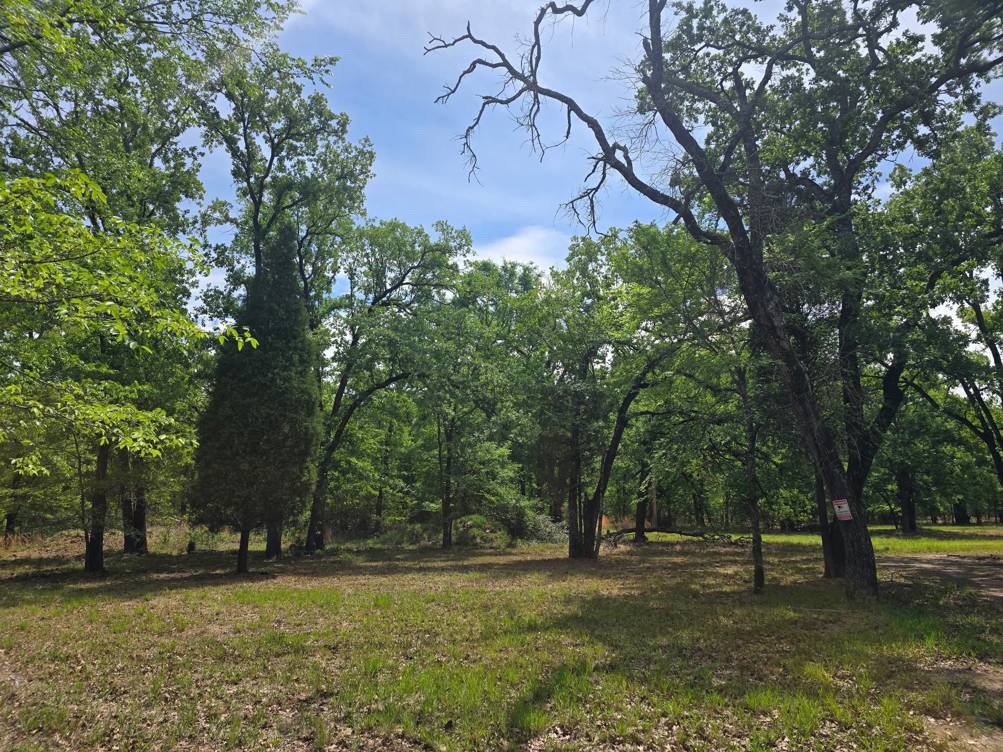 15801 Maple Lane Malakoff TX 75148
