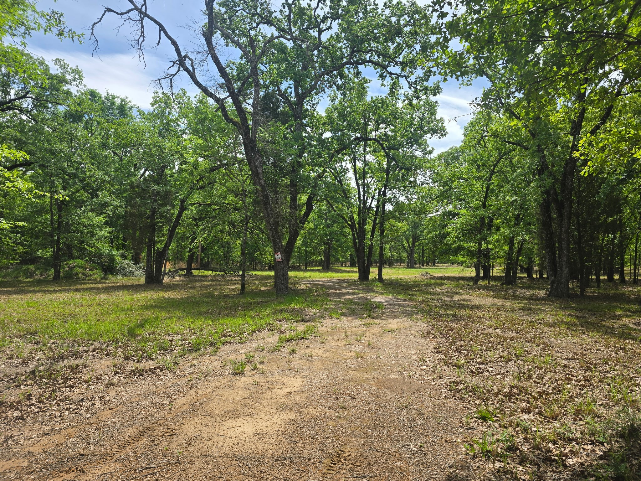 15801 Maple Lane Malakoff TX 75148
