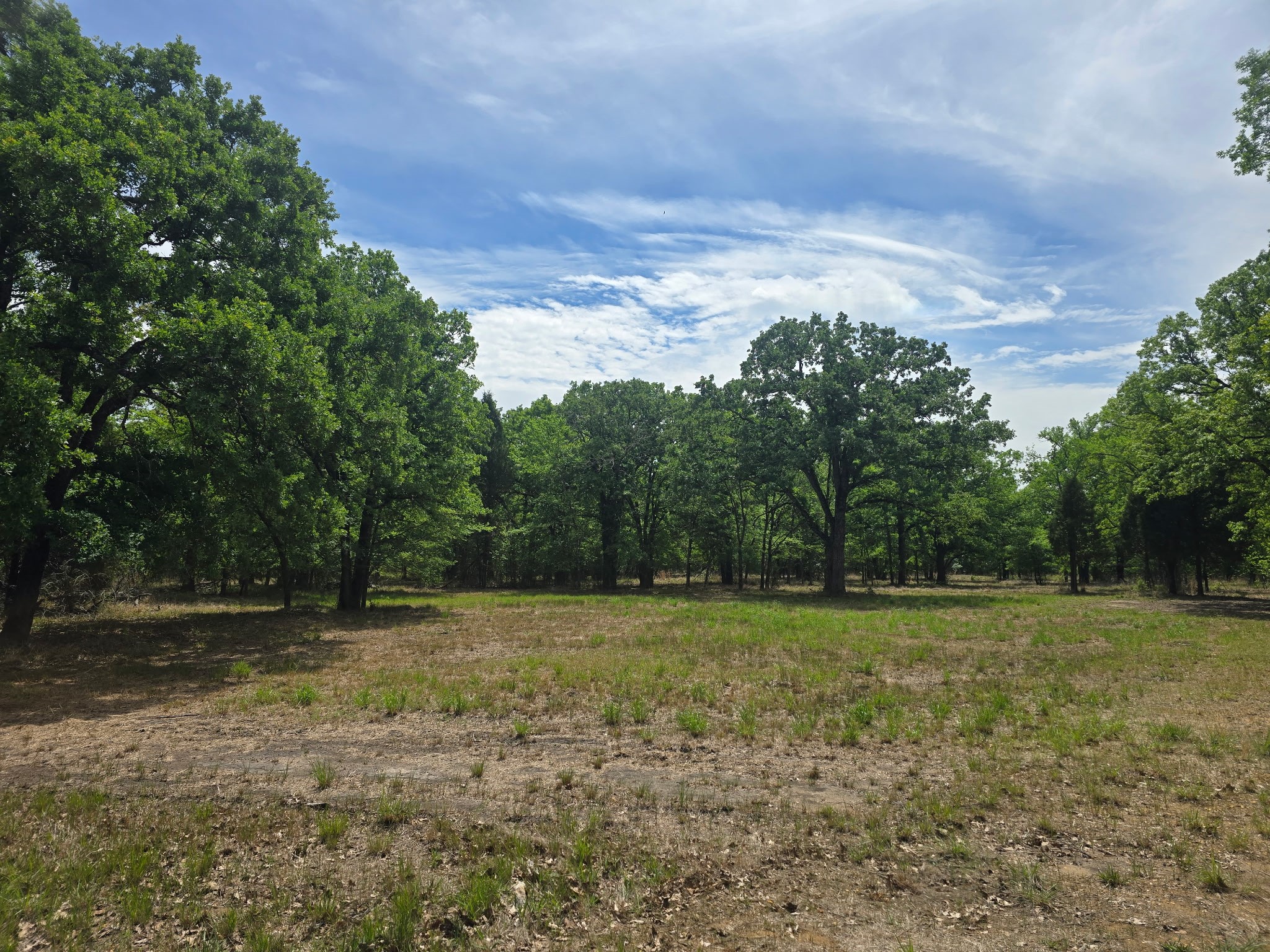 15801 Maple Lane Malakoff TX 75148
