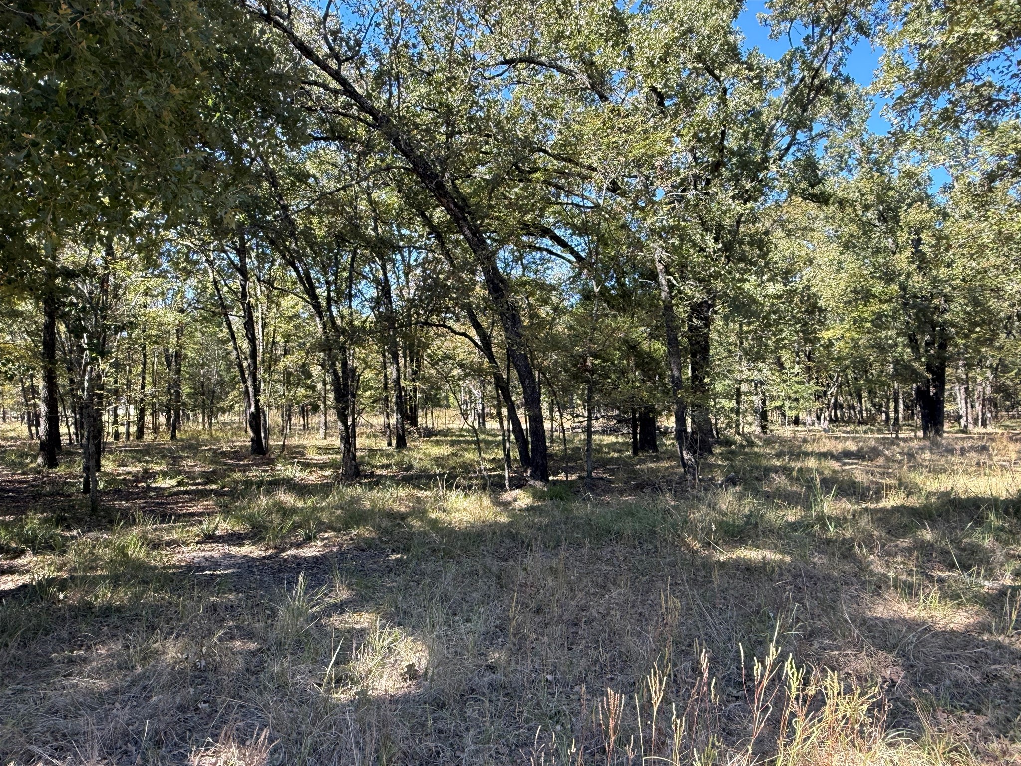15801 Maple Lane Malakoff TX 75148