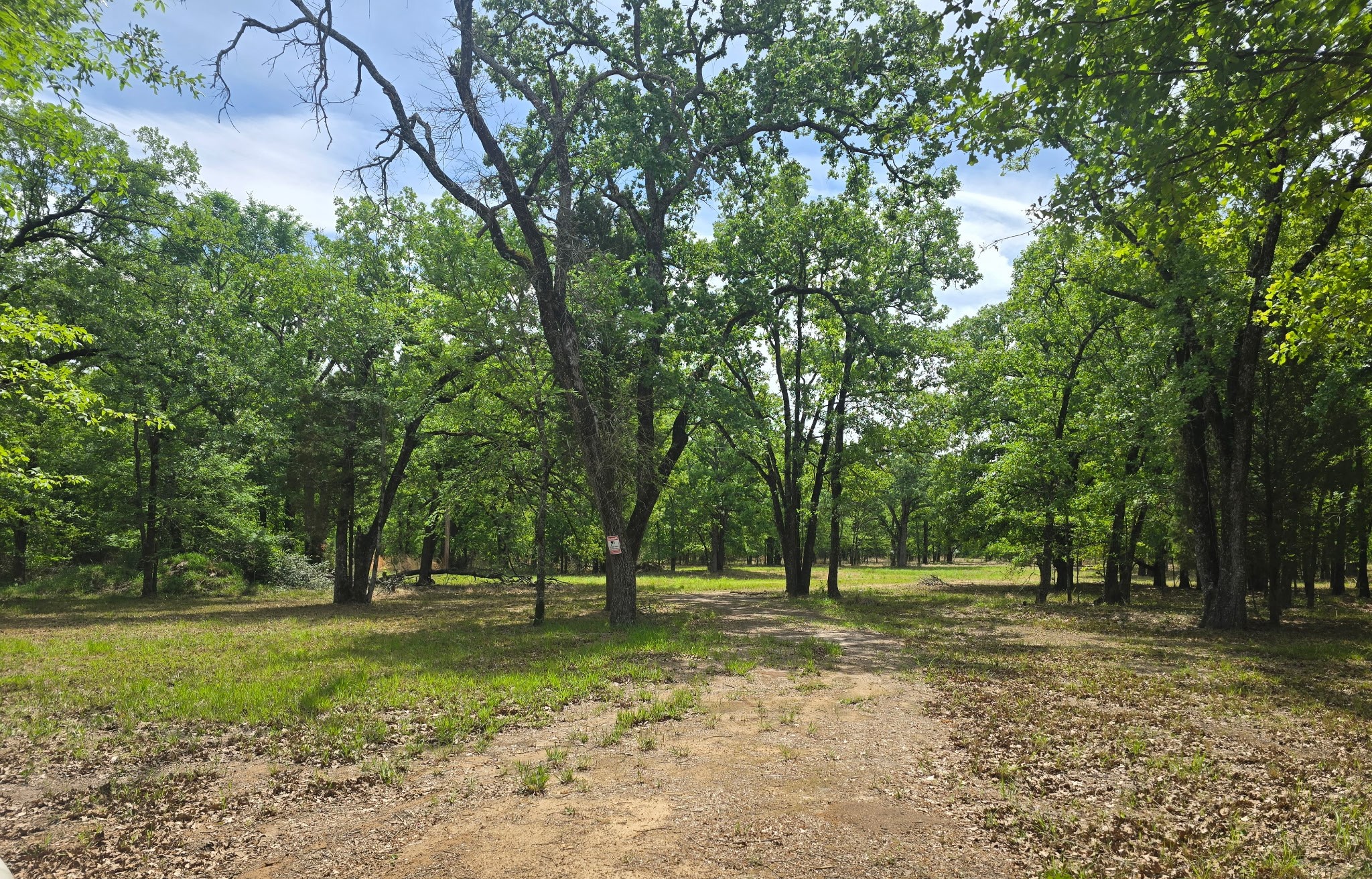 15801 Maple Lane Malakoff TX 75148