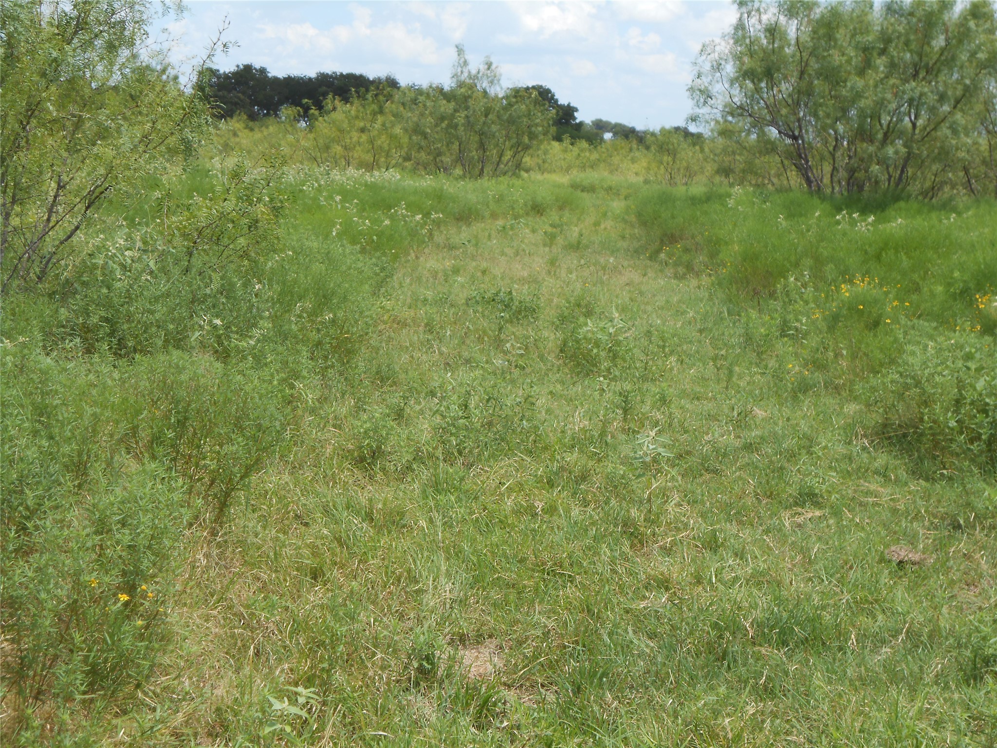 Tbd Lcr 156 Hubbard TX 76648