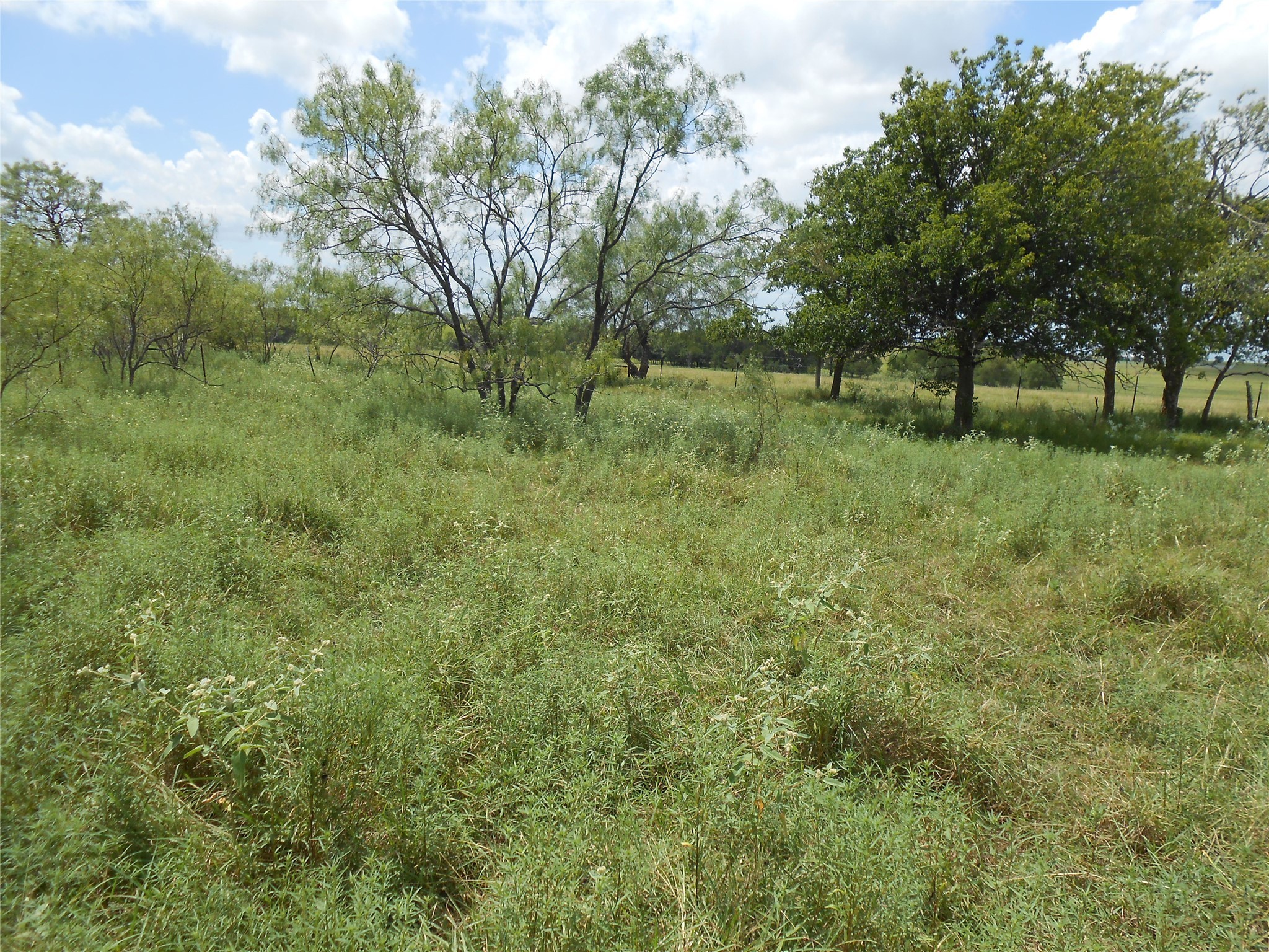 Tbd Lcr 156 Hubbard TX 76648