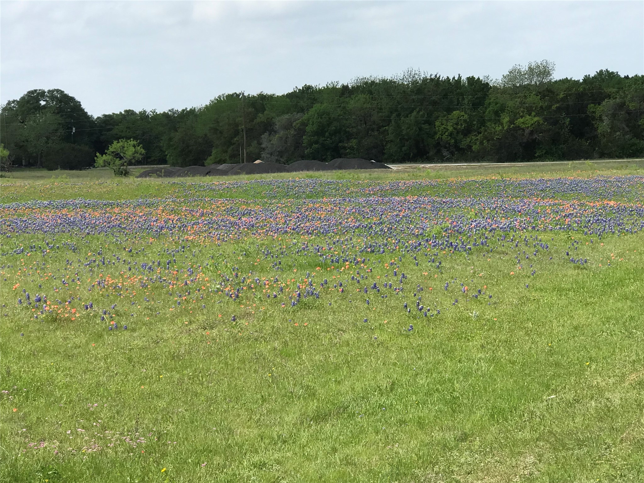 1014 White Bluff Drive Whitney TX 76692