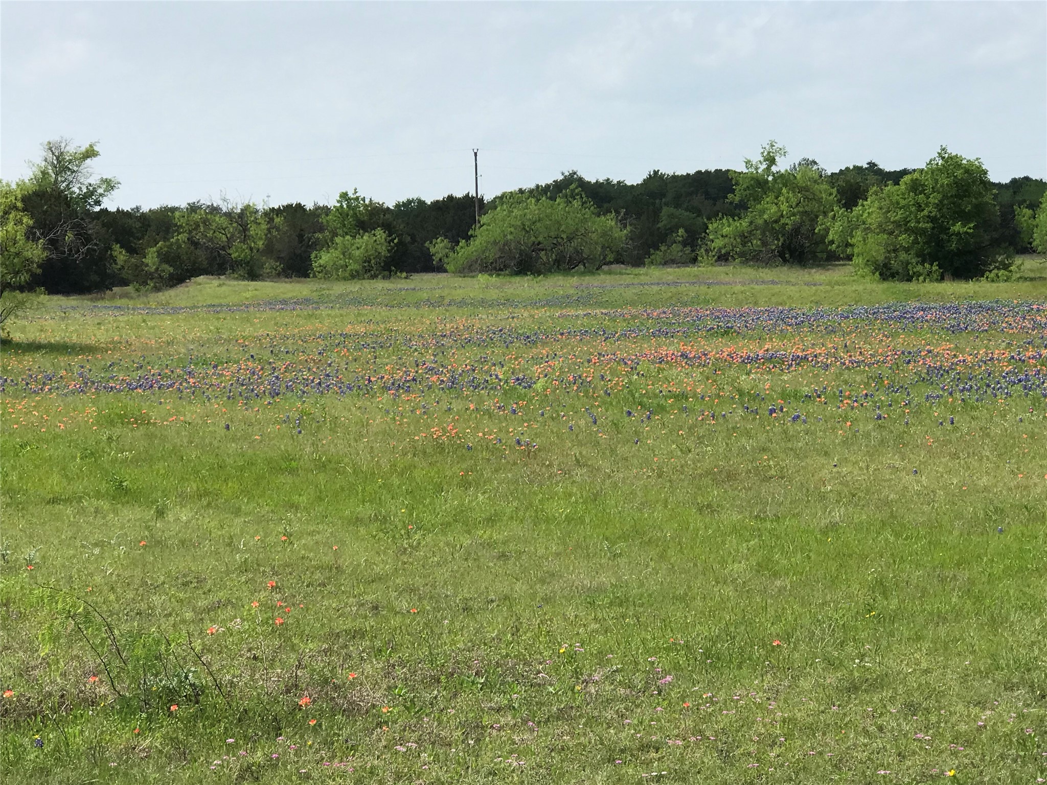 1014 White Bluff Drive Whitney TX 76692