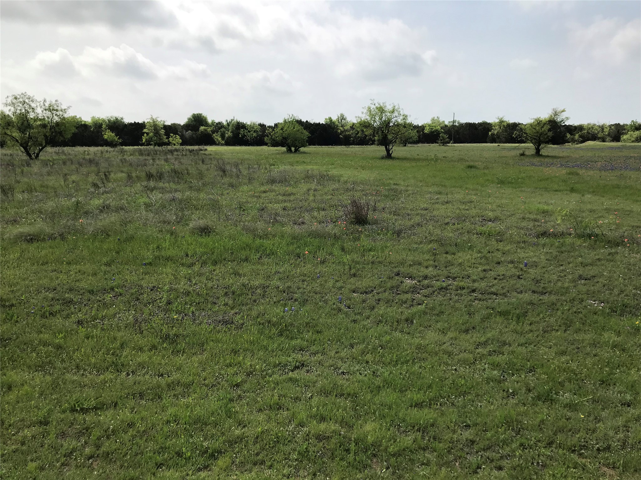1014 White Bluff Drive Whitney TX 76692