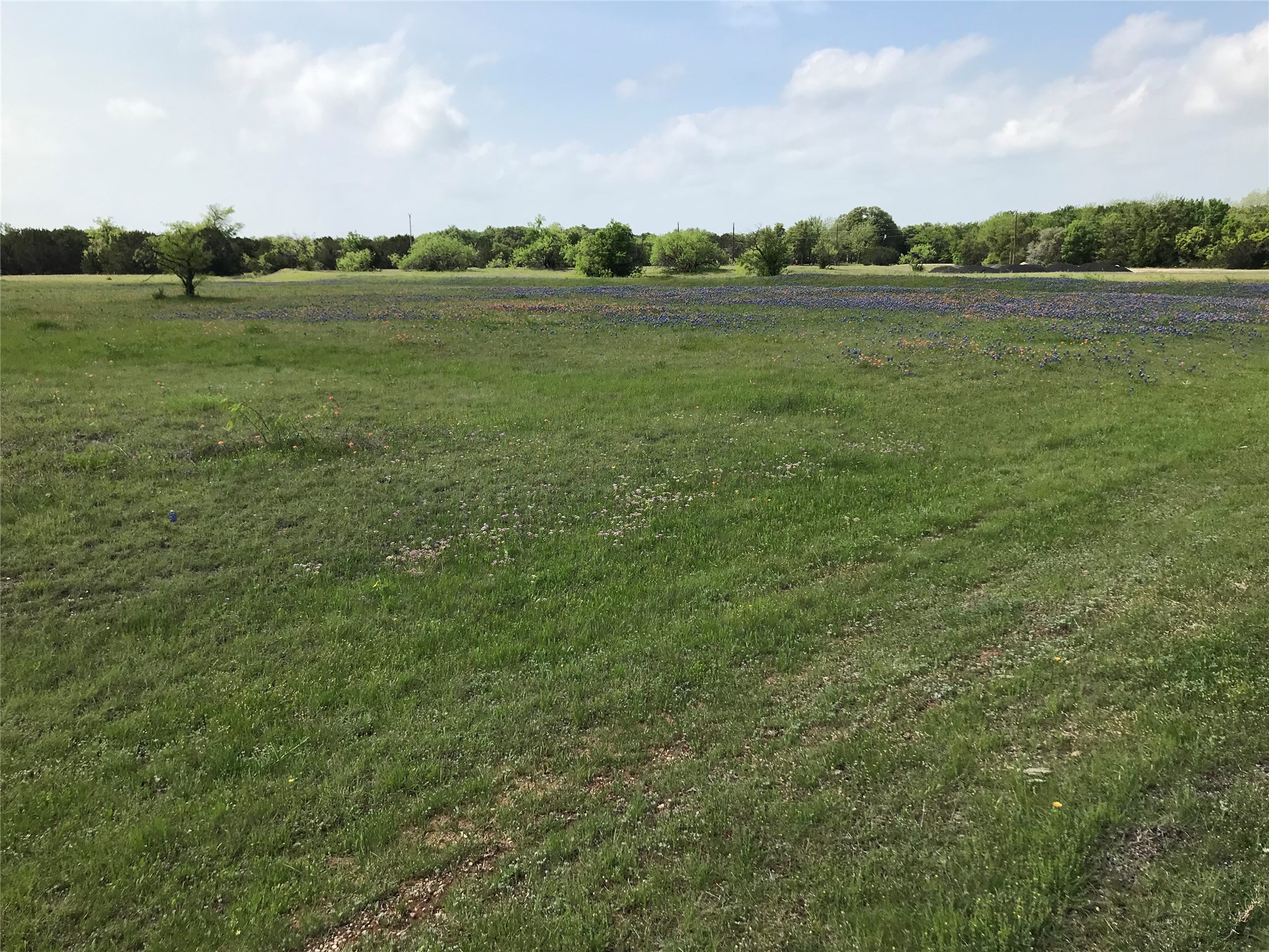 1014 White Bluff Drive Whitney TX 76692