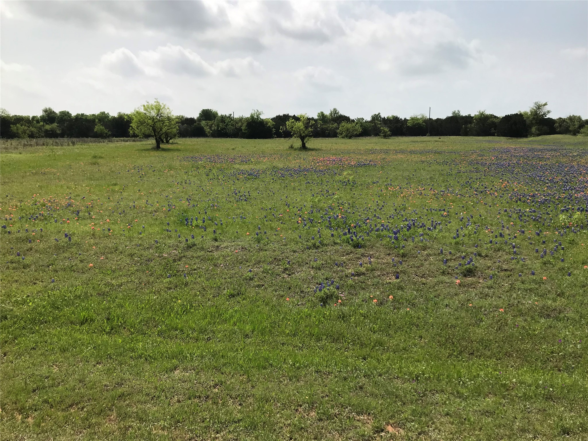 1014 White Bluff Drive Whitney TX 76692