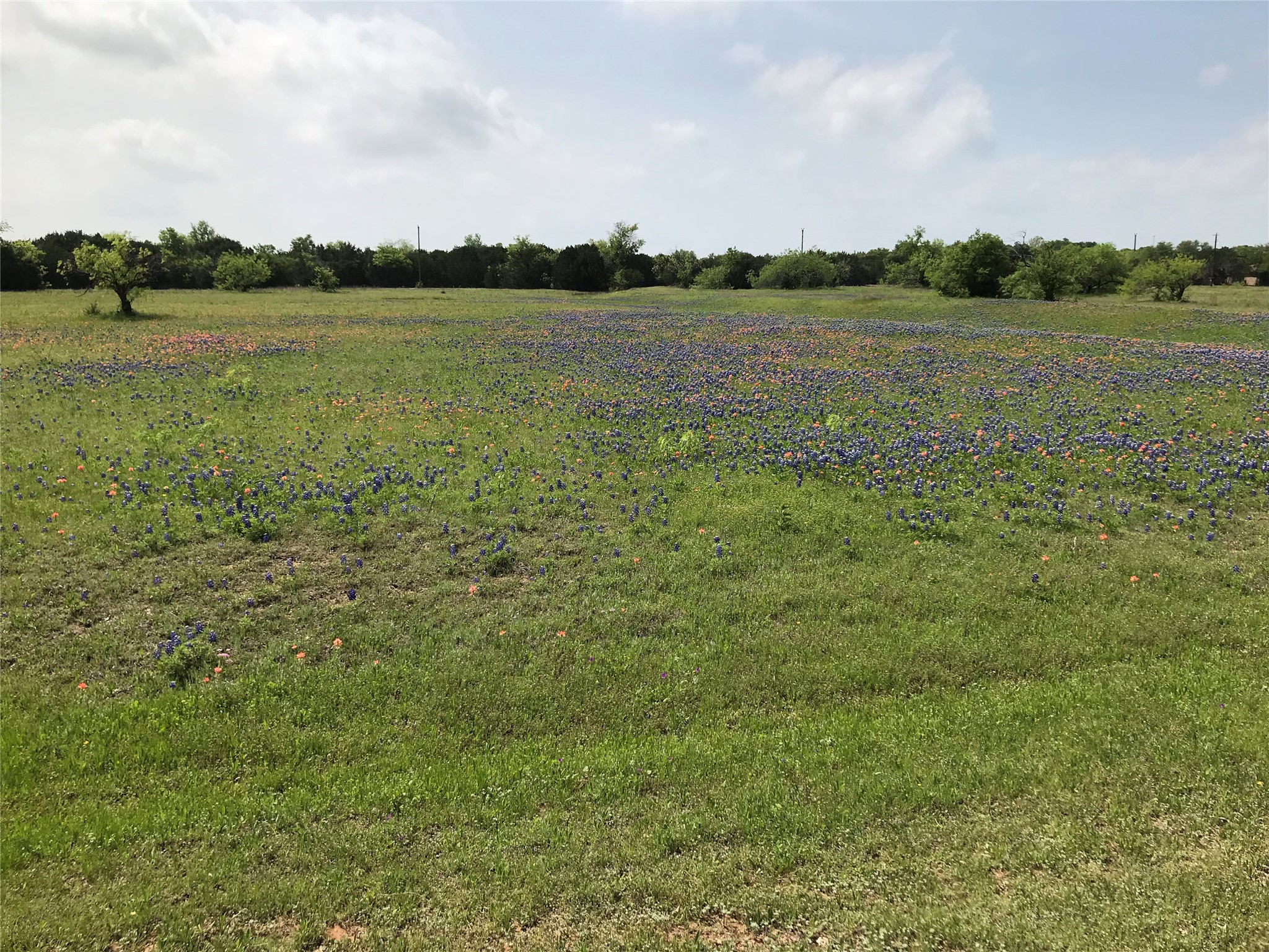 1014 White Bluff Drive Whitney TX 76692